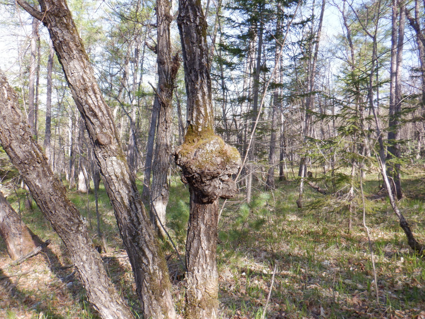 DSCF8025.JPG