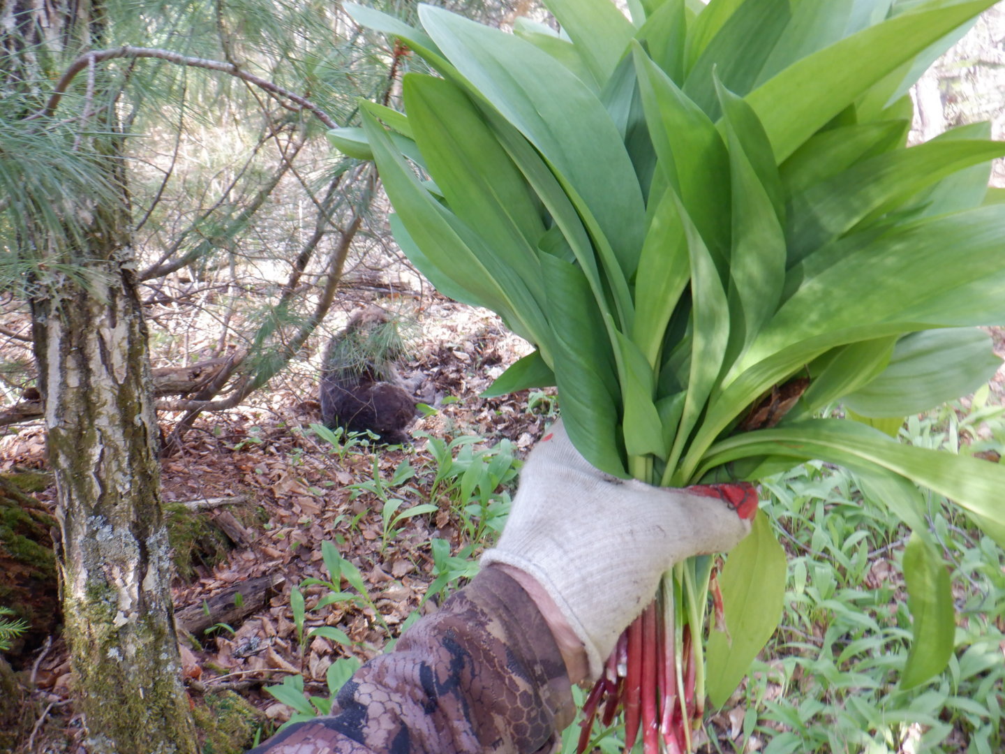 DSCF8039.JPG