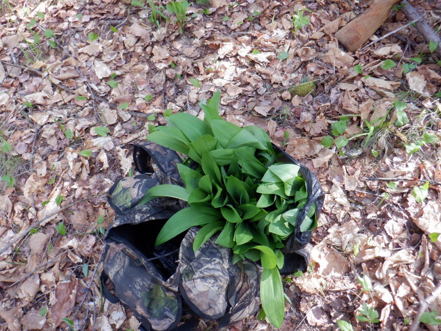 DSCF8041.JPG