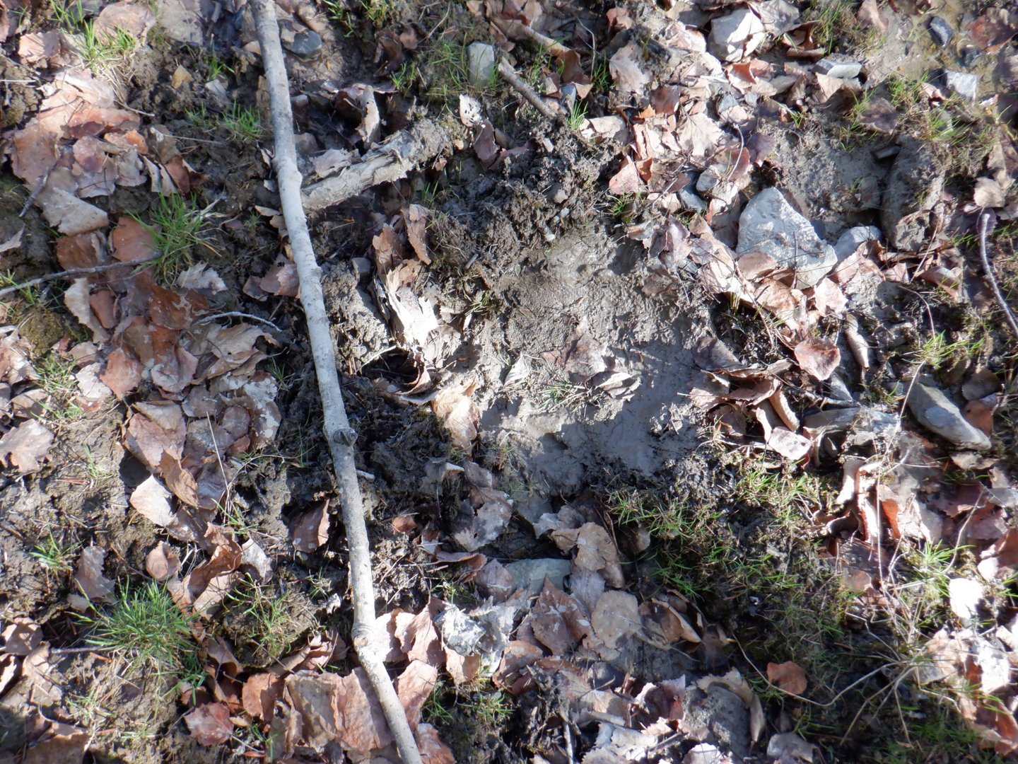 DSCF8042.JPG