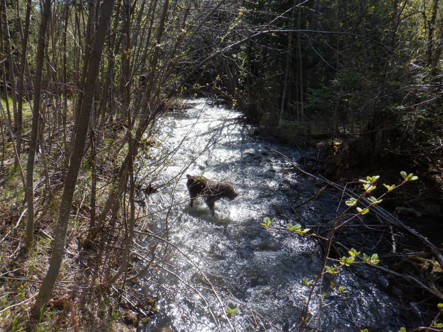 DSCF8055.JPG