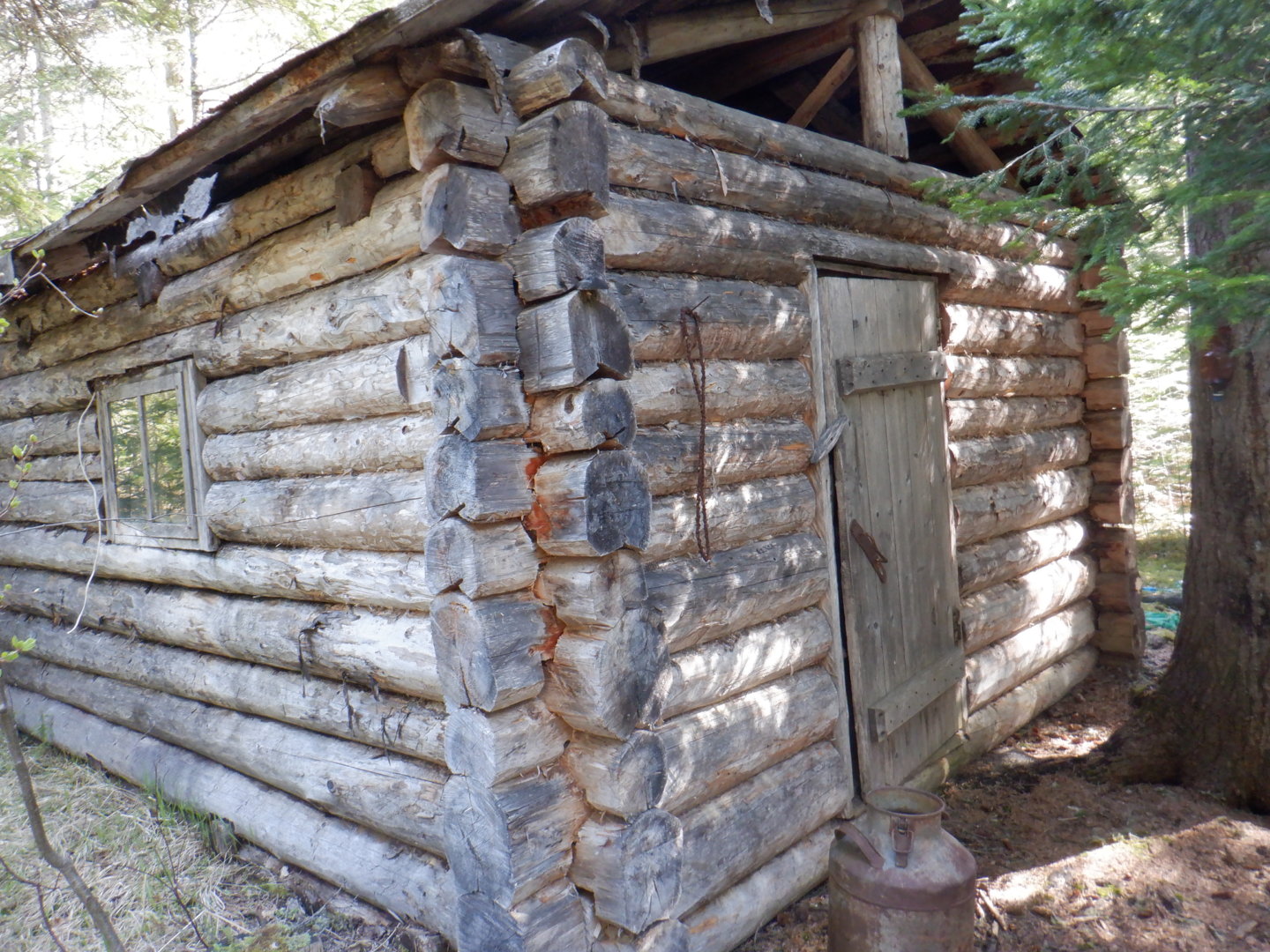 DSCF8058.JPG