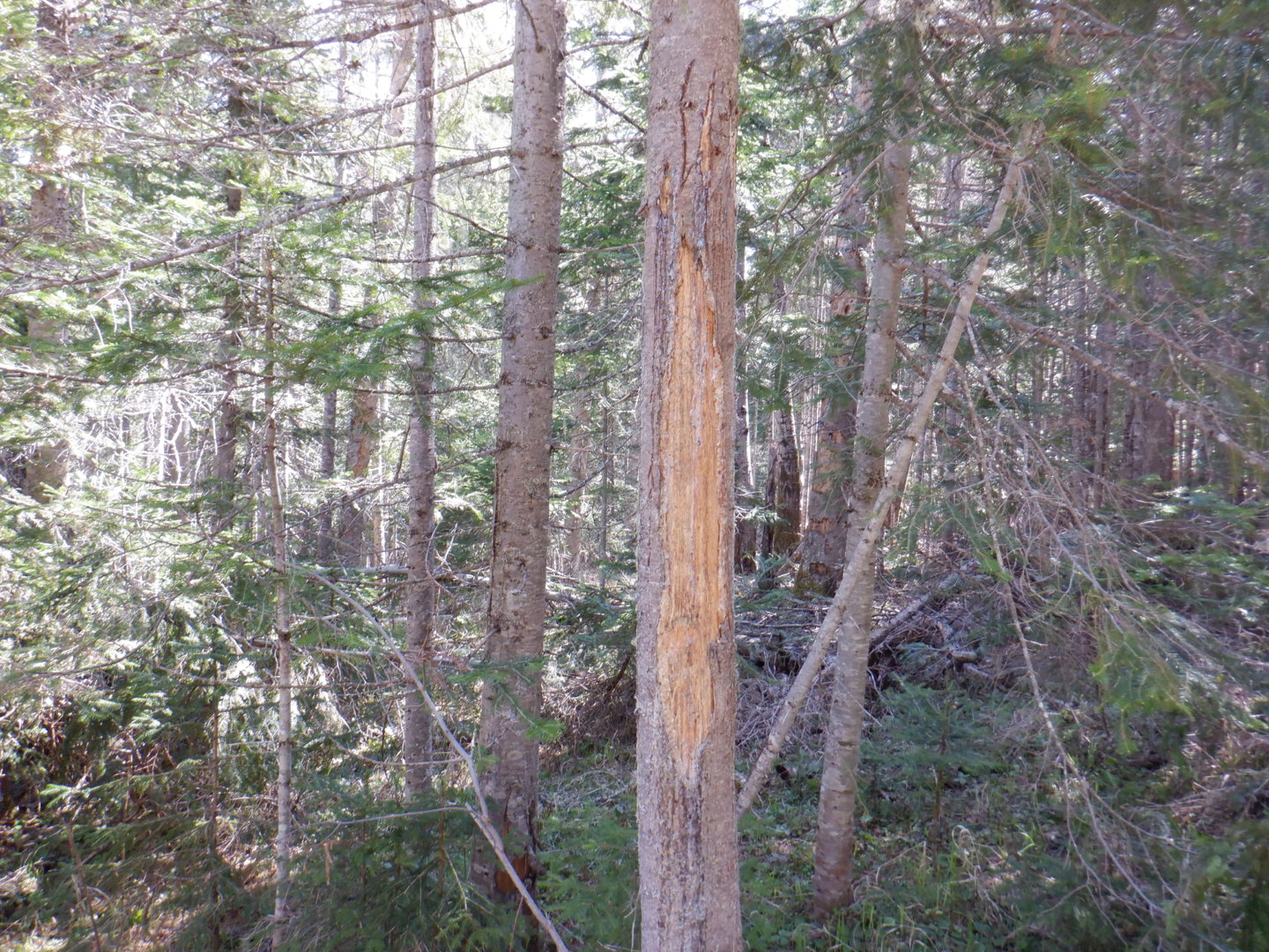 DSCF8064.JPG