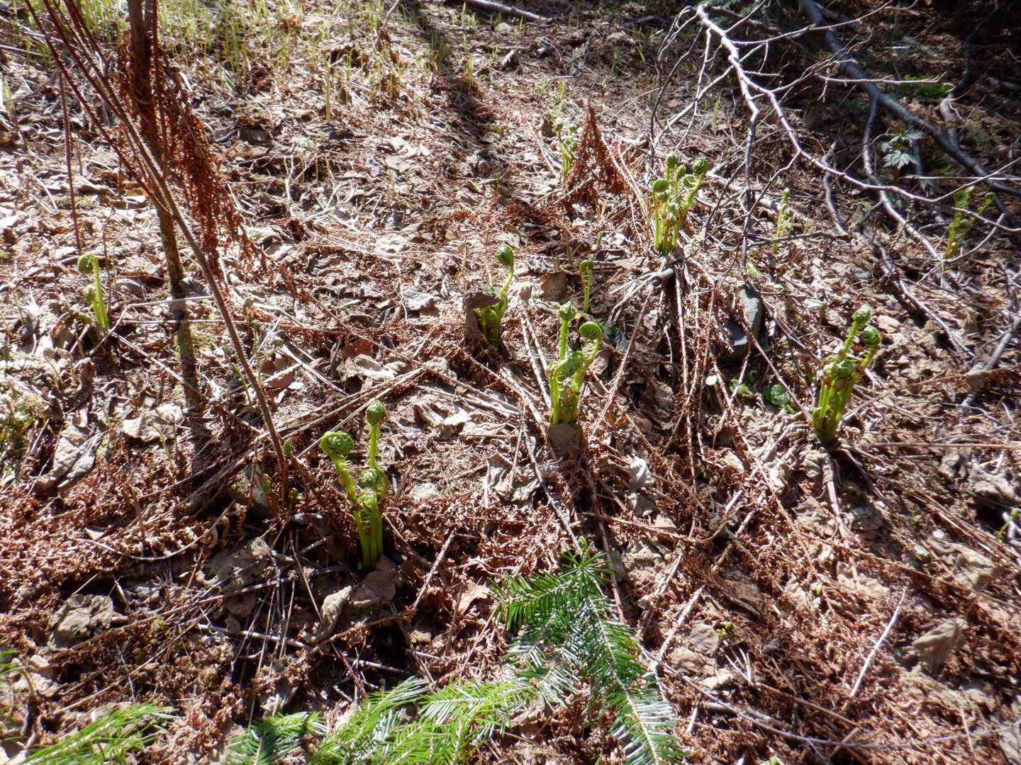 DSCF8067.JPG
