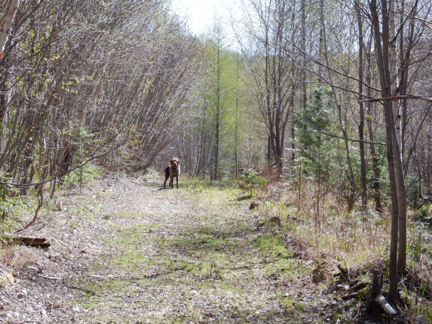 DSCF8068.JPG