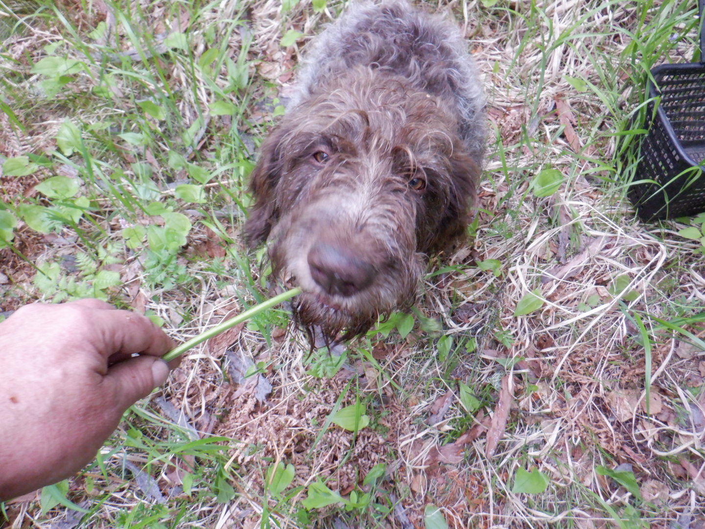 DSCF8077.JPG