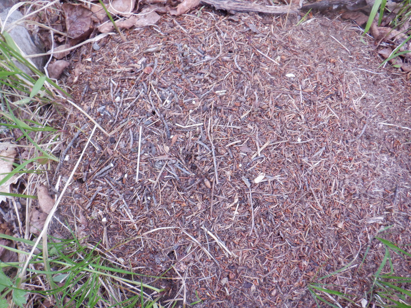 DSCF8083.JPG