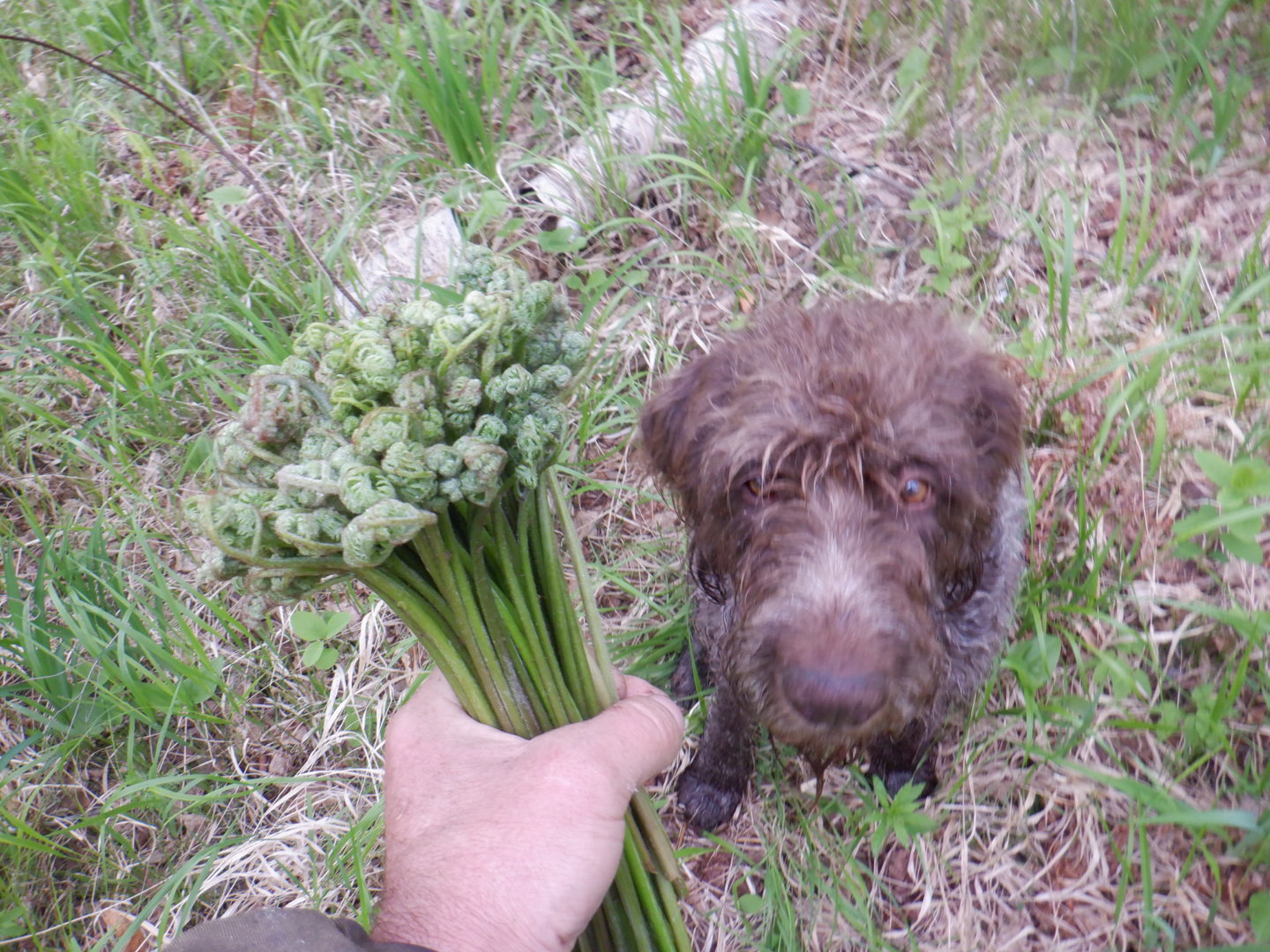 DSCF8085.JPG
