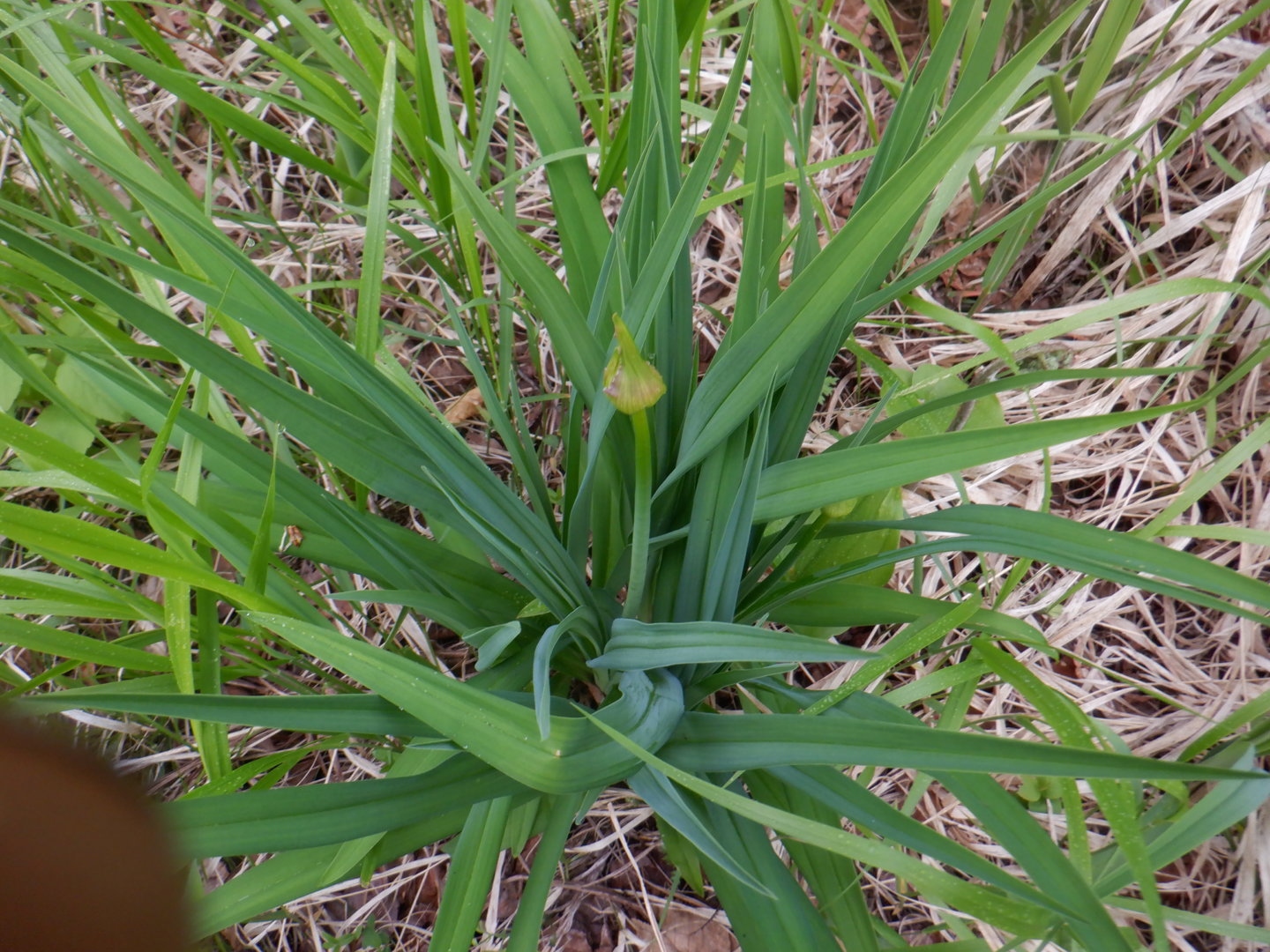 DSCF8088.JPG