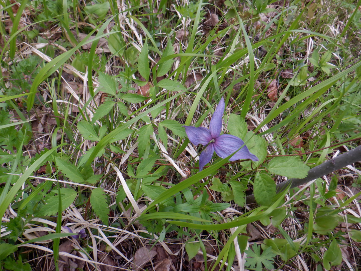 DSCF8099.JPG