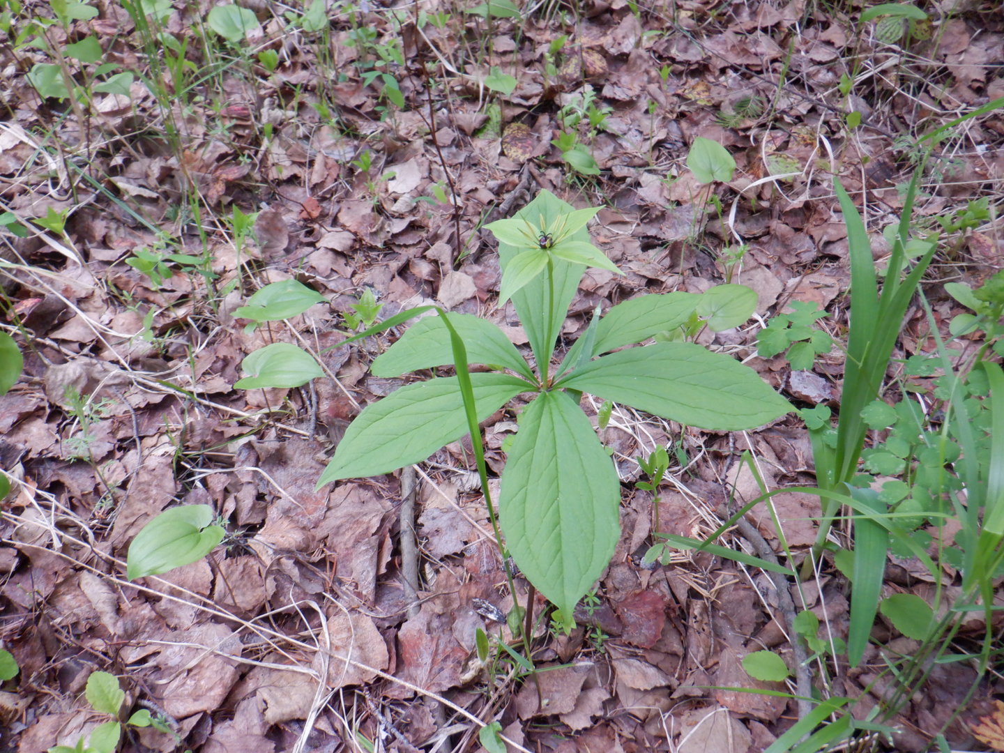 DSCF8105.JPG
