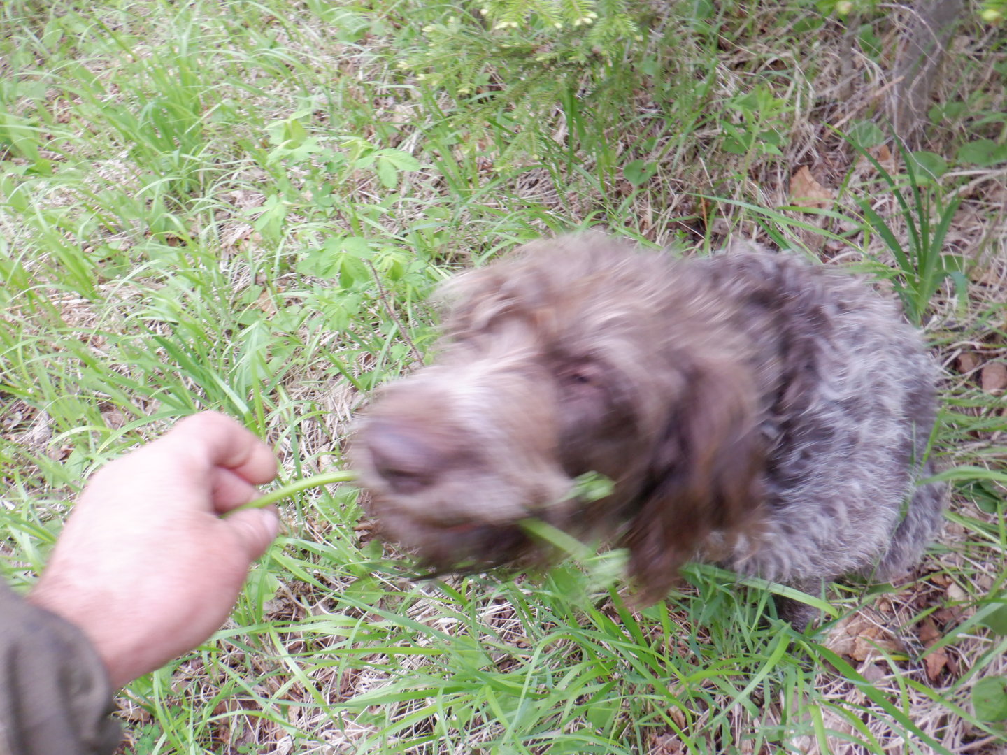 DSCF8109.JPG