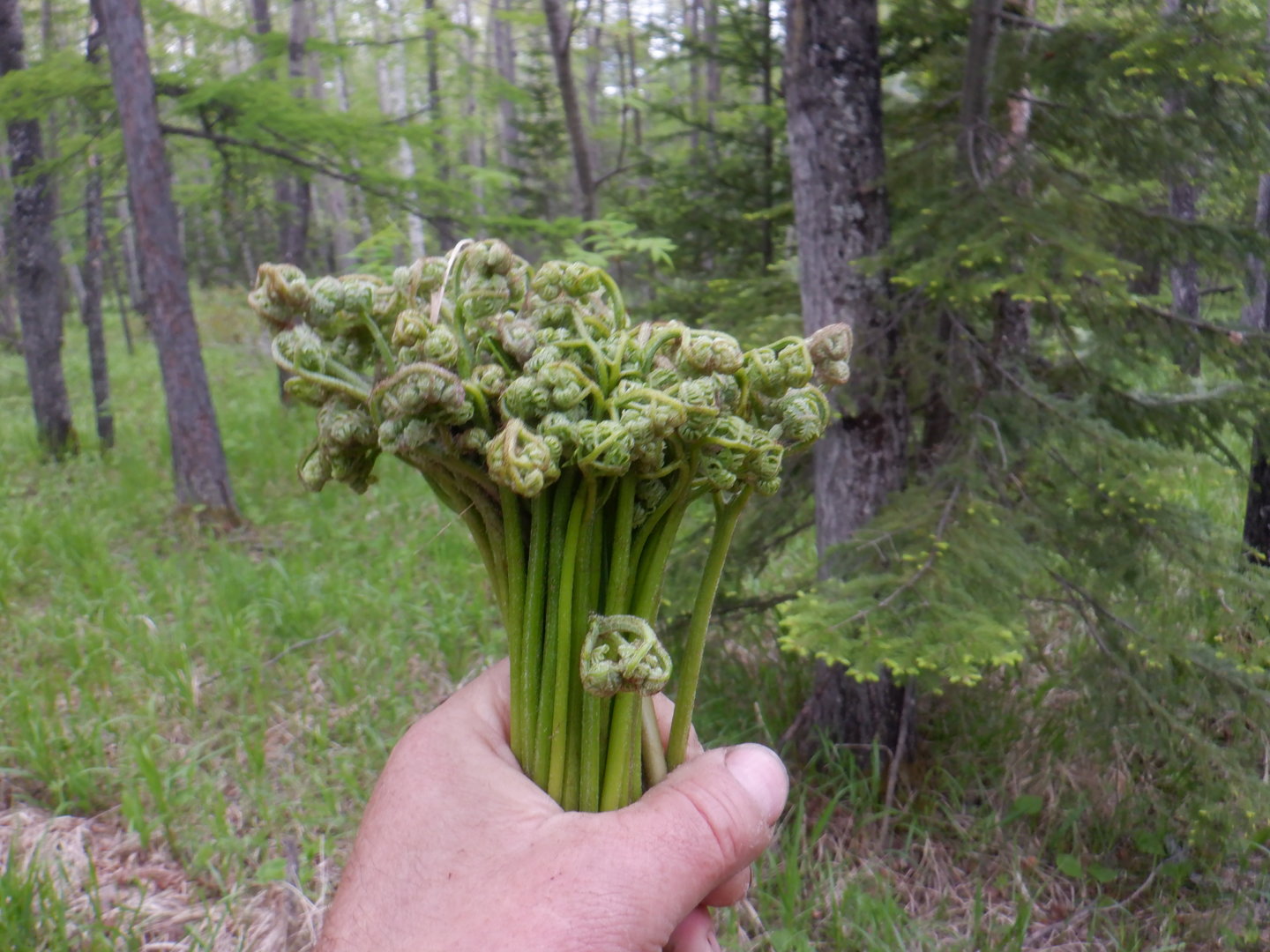 DSCF8111.JPG