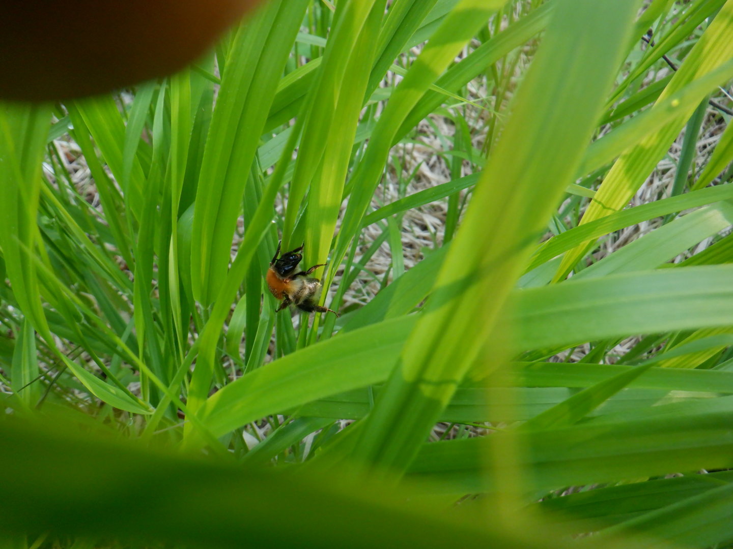 DSCF8120.JPG