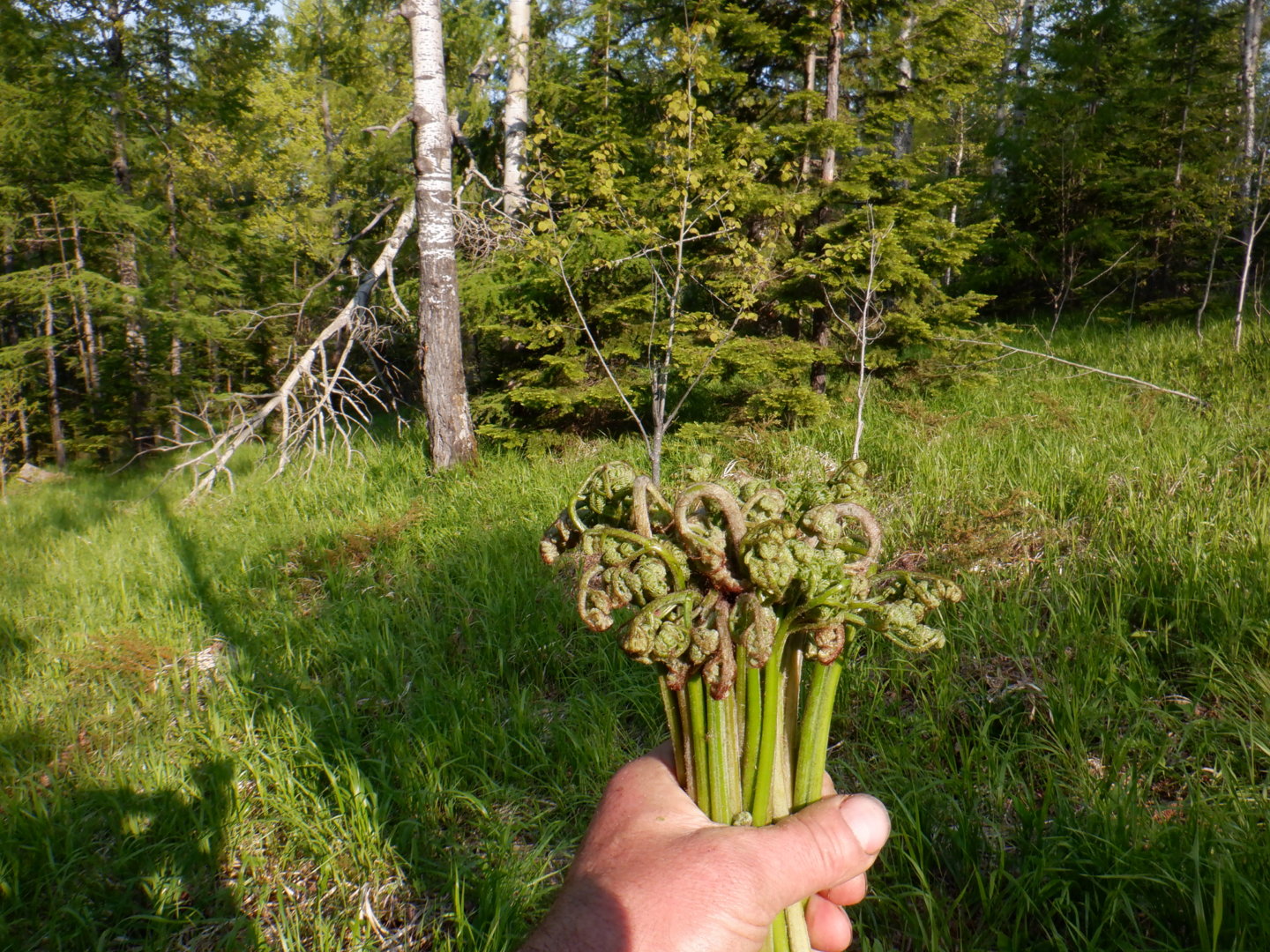 DSCF8122.JPG
