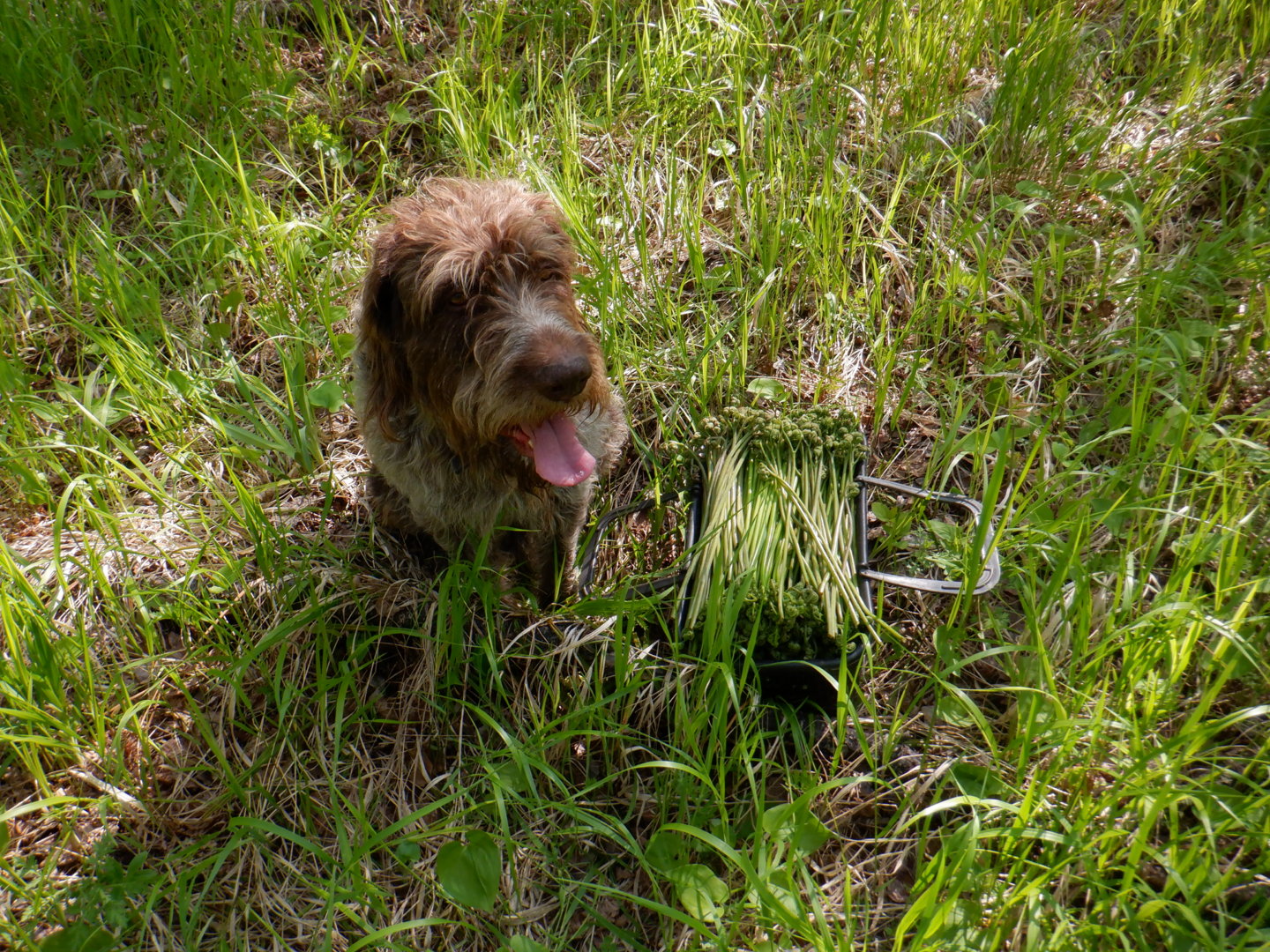 DSCF8127.JPG