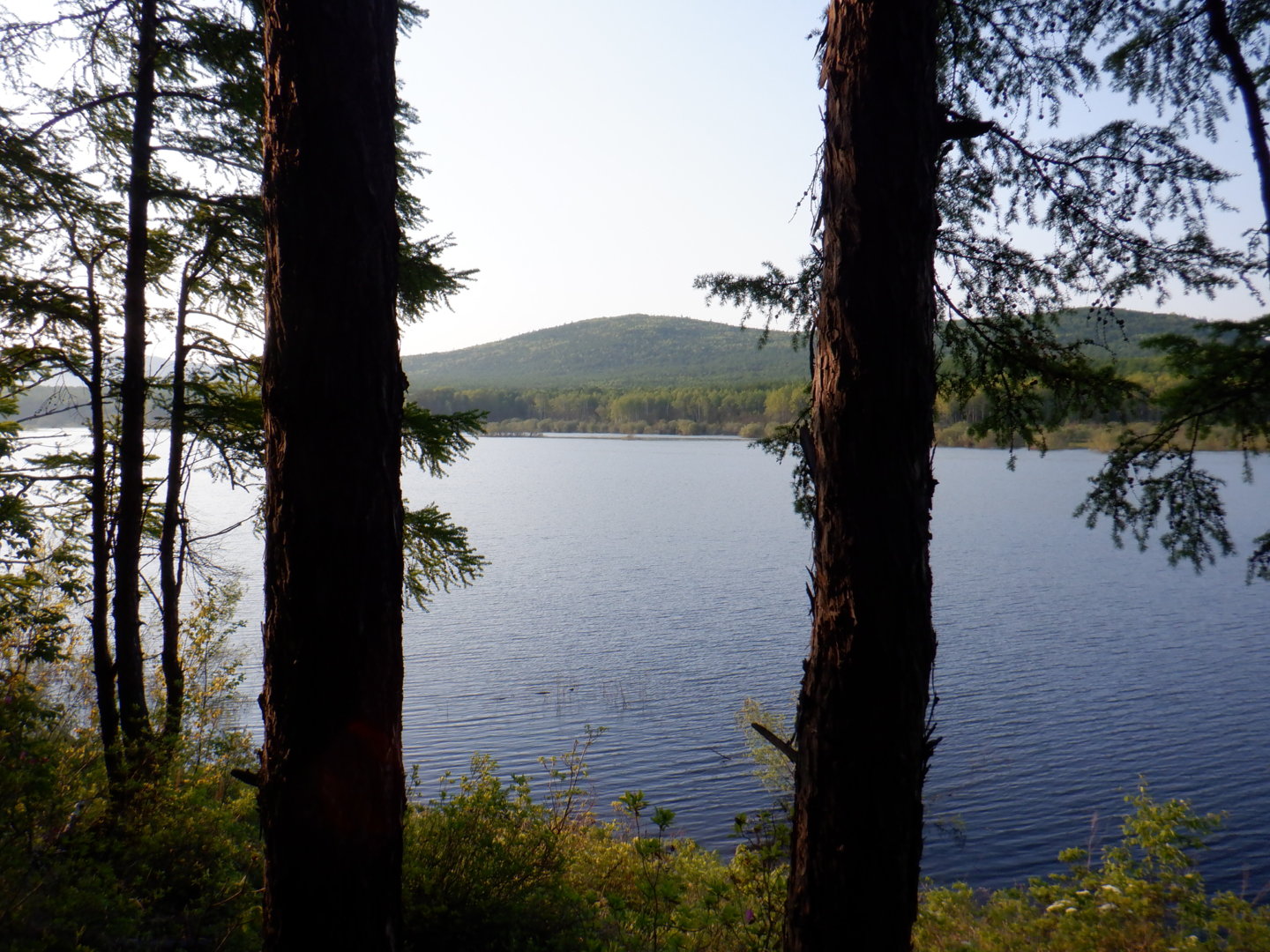 DSCF8131.JPG