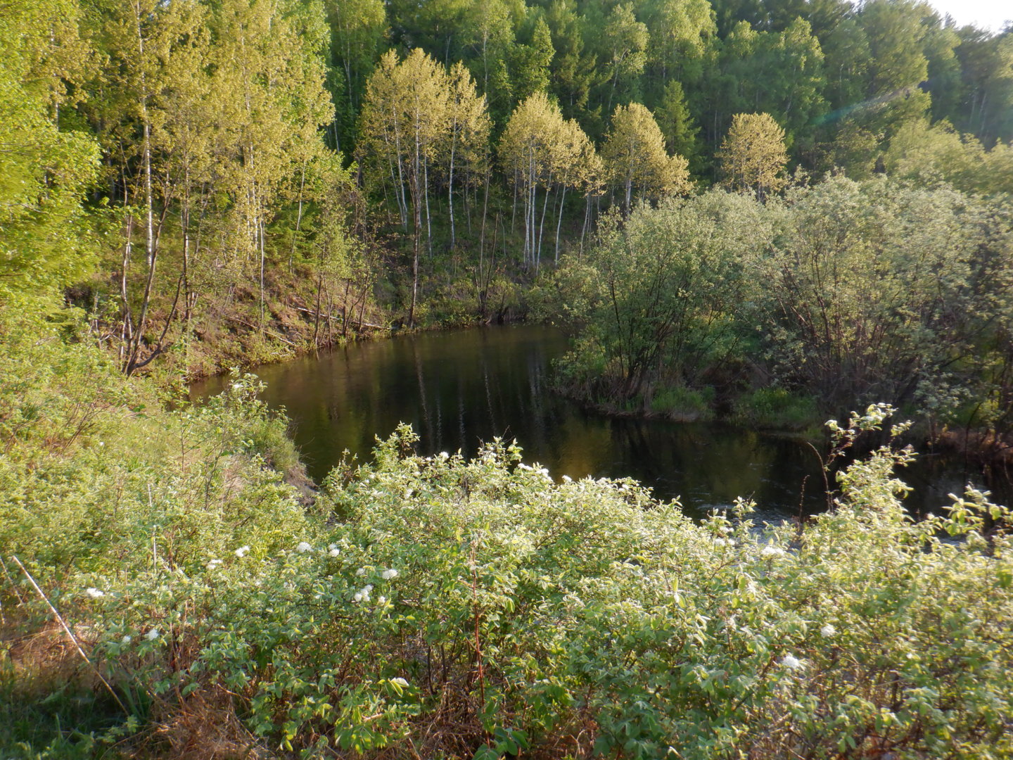 DSCF8136.JPG