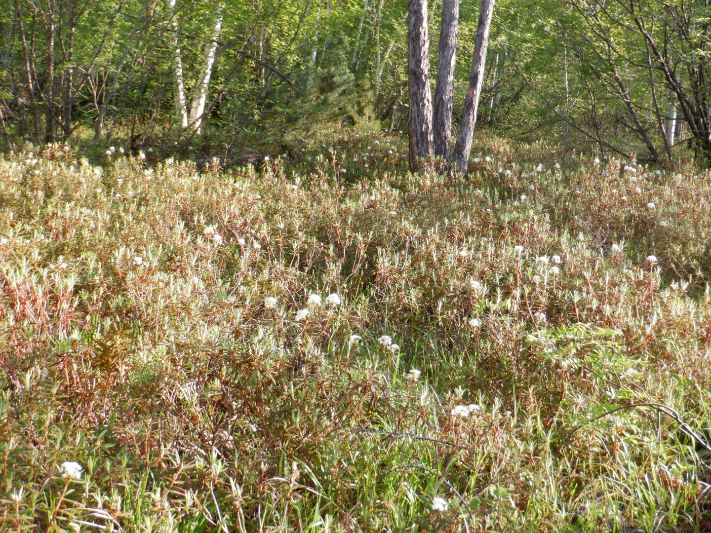 DSCF8142.JPG