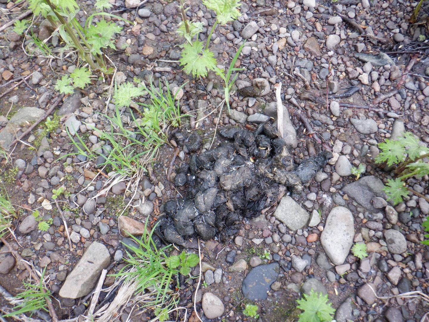 DSCF8146.JPG