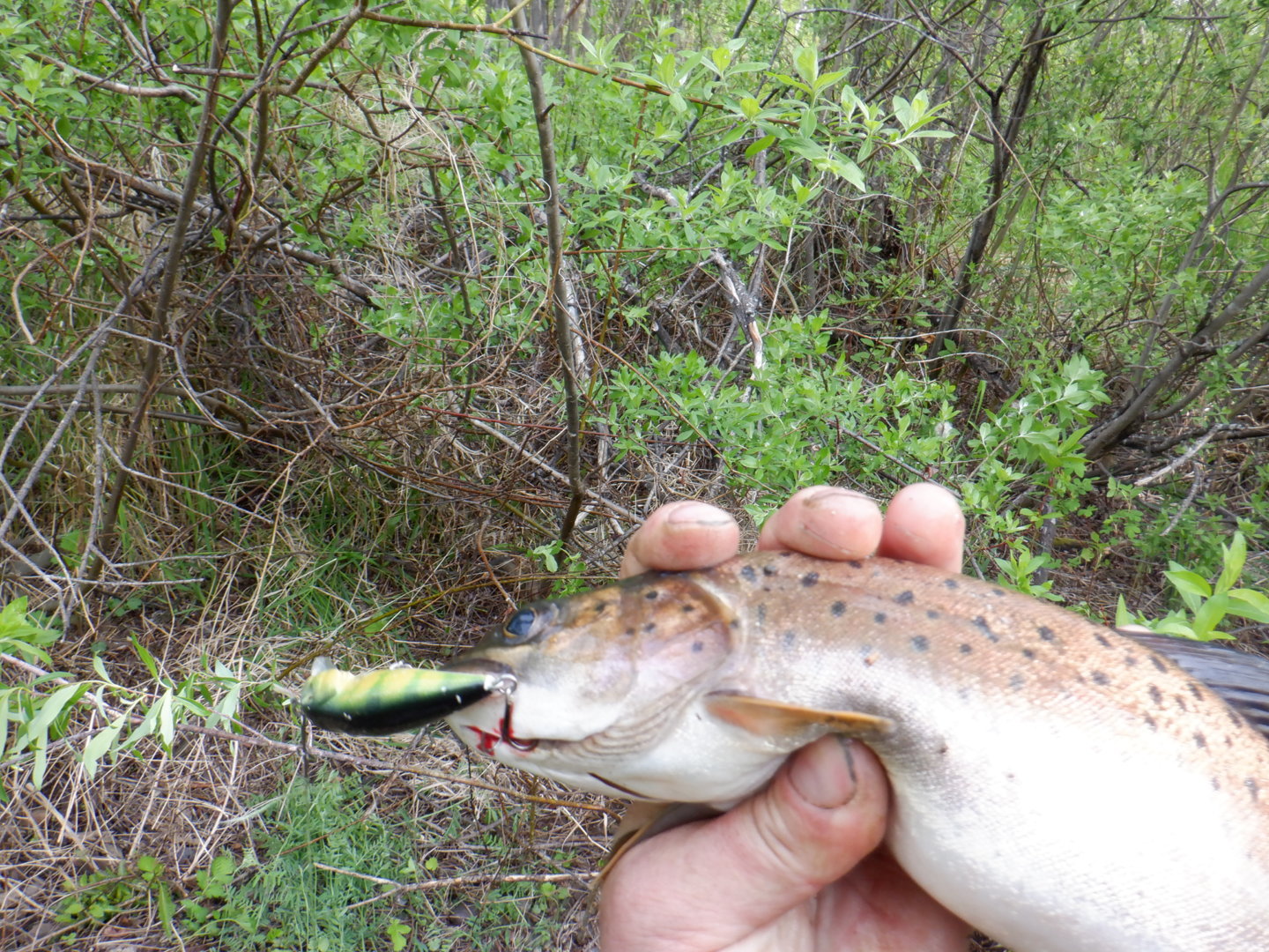 DSCF8149.JPG