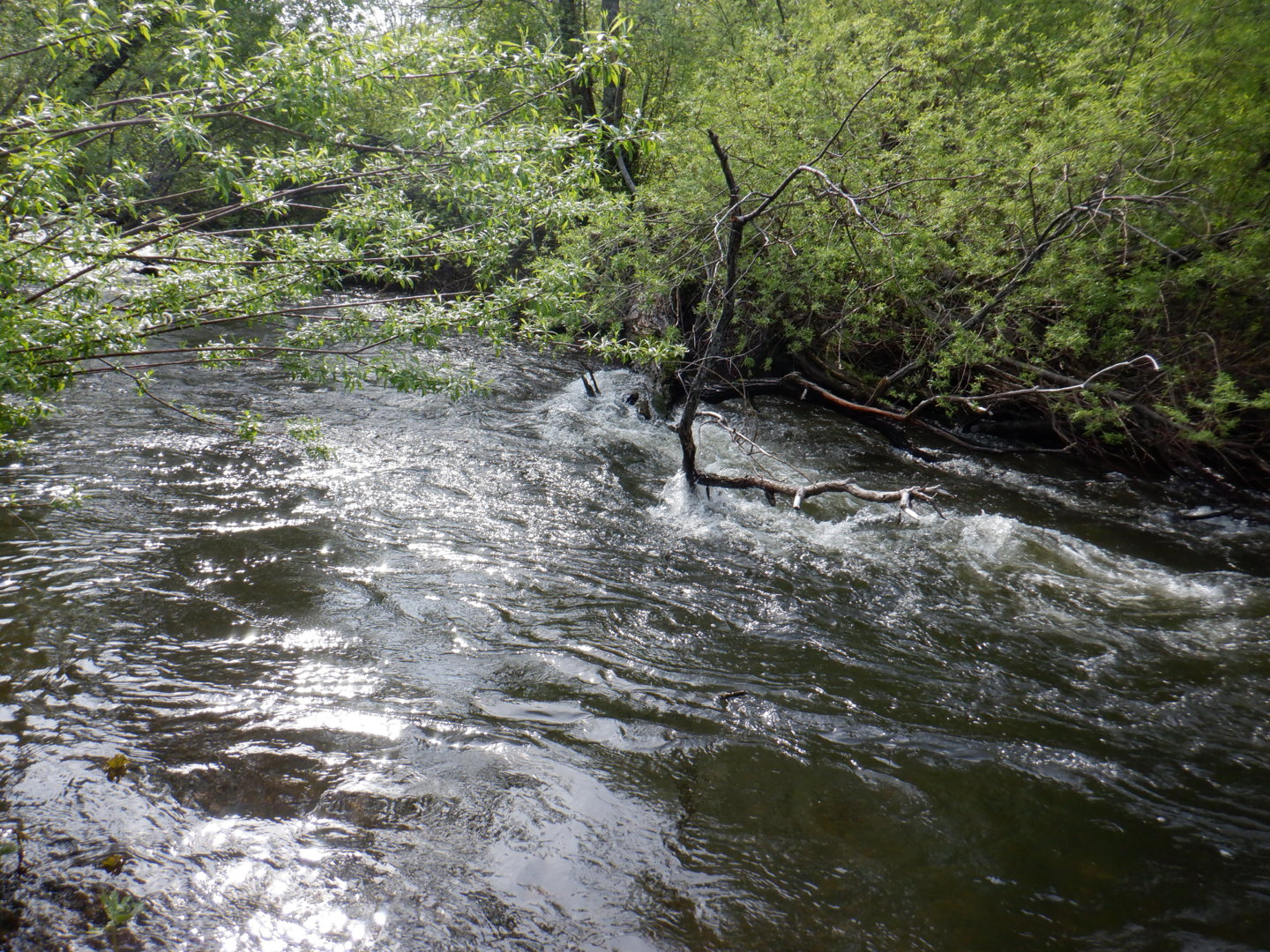 DSCF8150.JPG