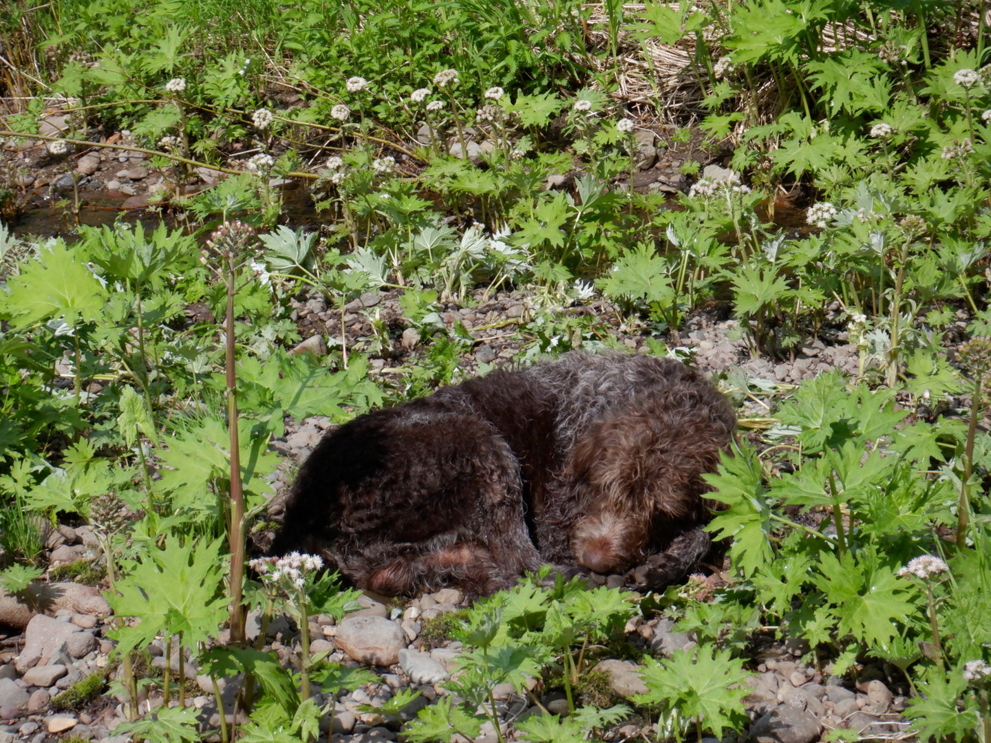 DSCF8151.JPG