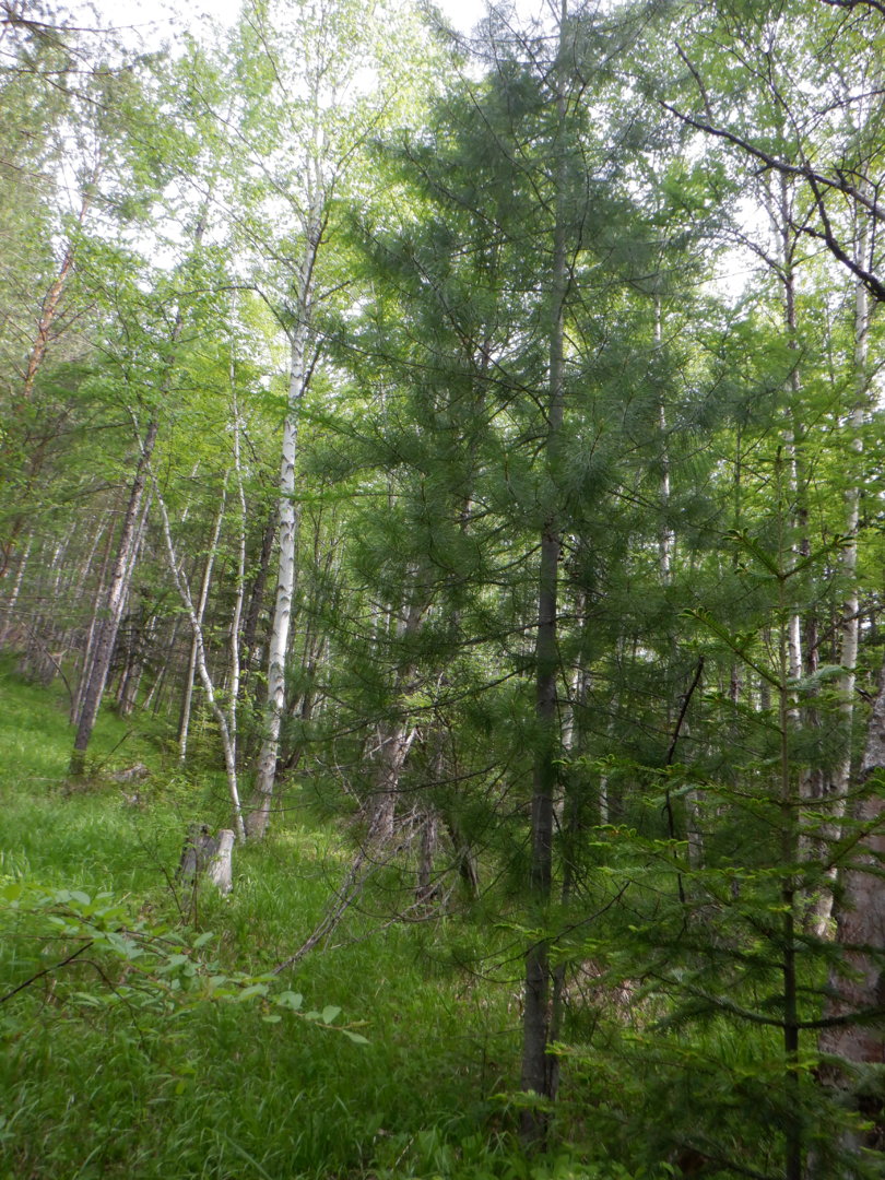 DSCF8158.JPG