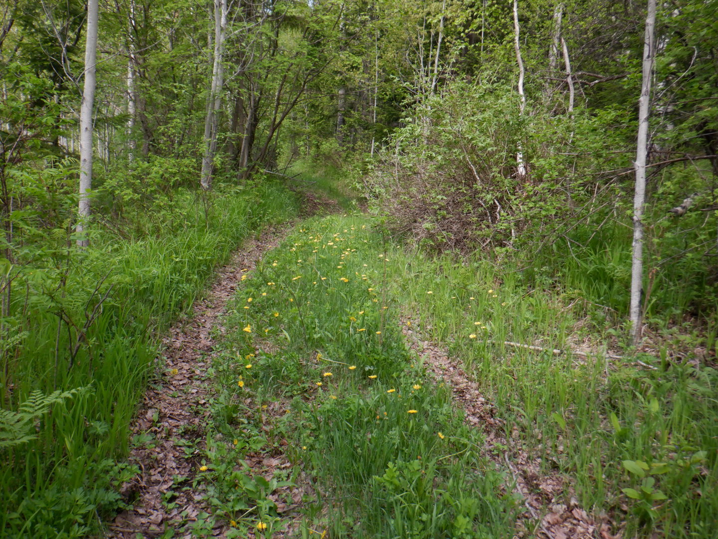 DSCF8160.JPG