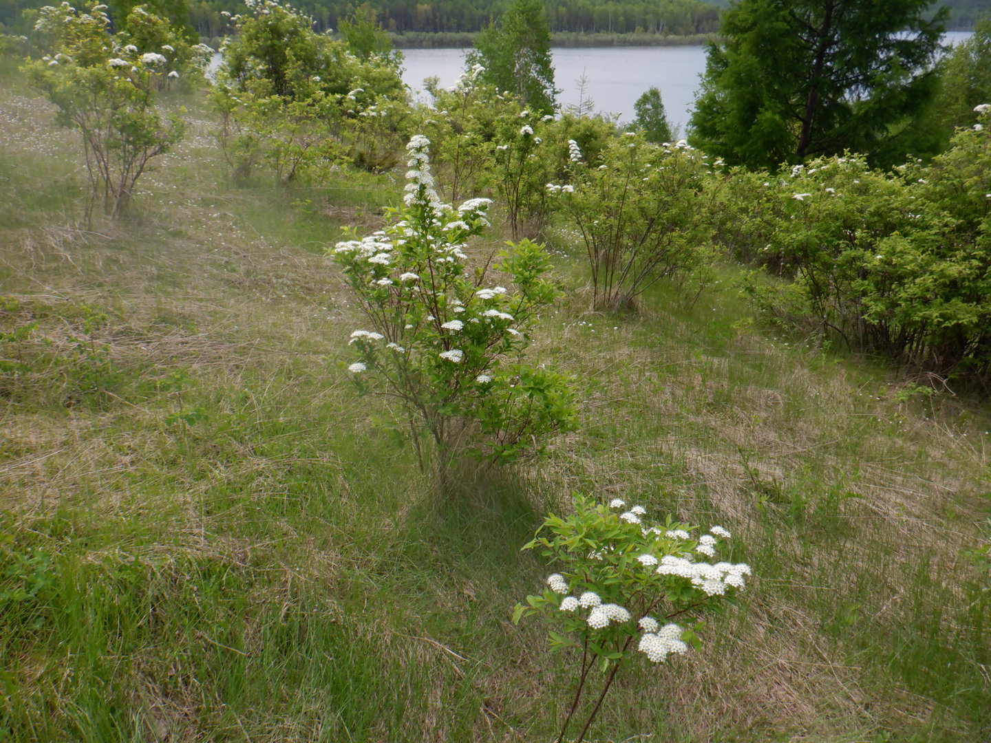 DSCF8161.JPG