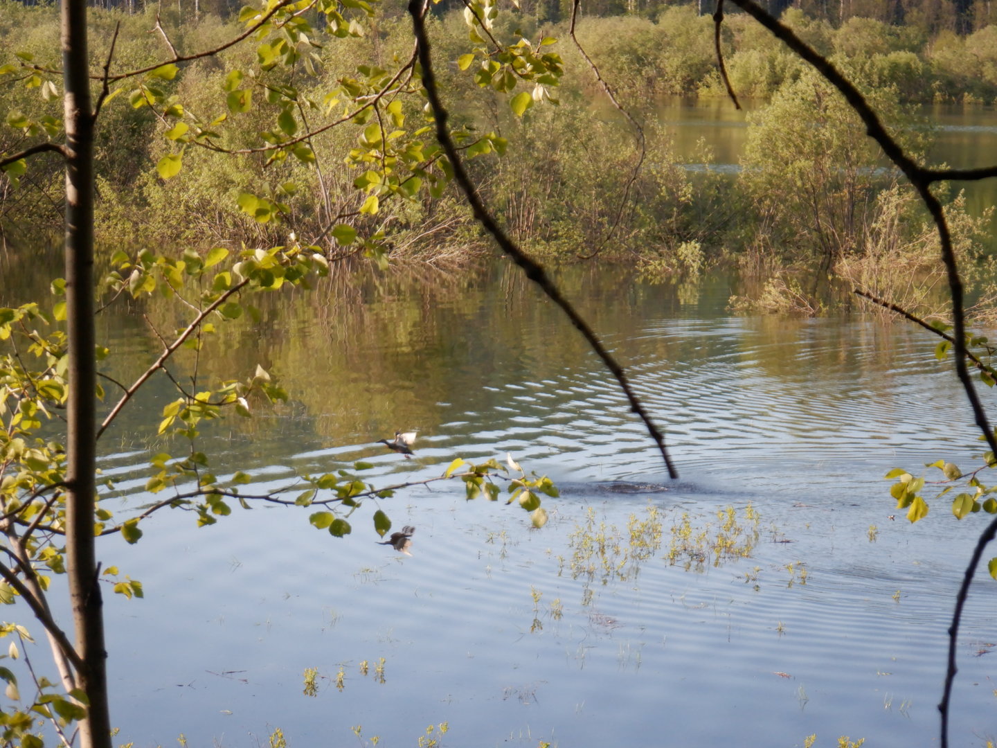 DSCF8165.JPG