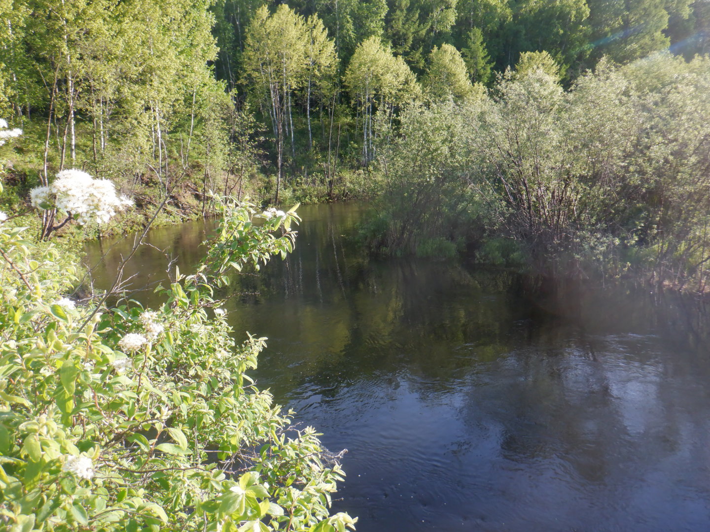 DSCF8170.JPG