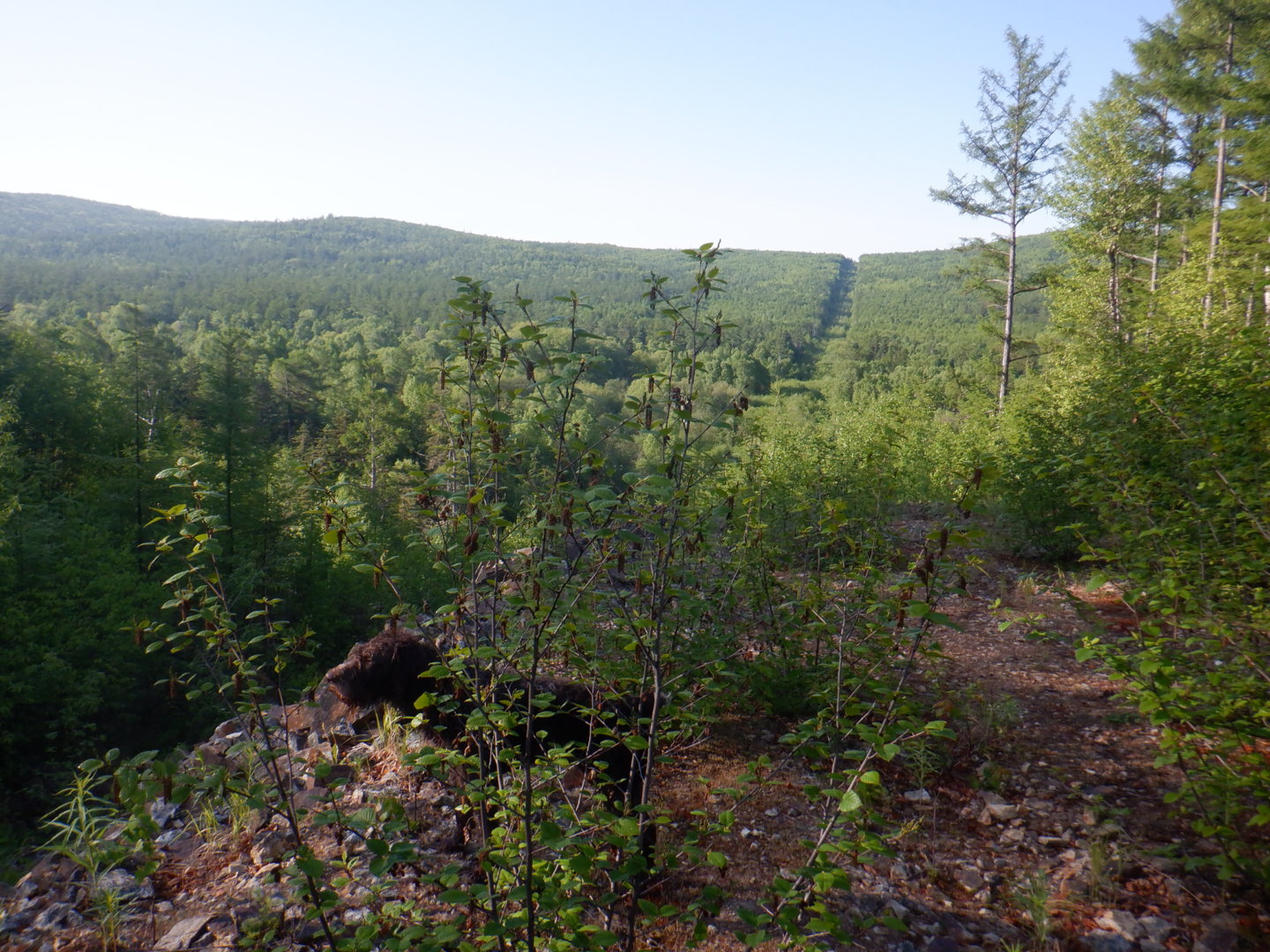 DSCF8174.JPG