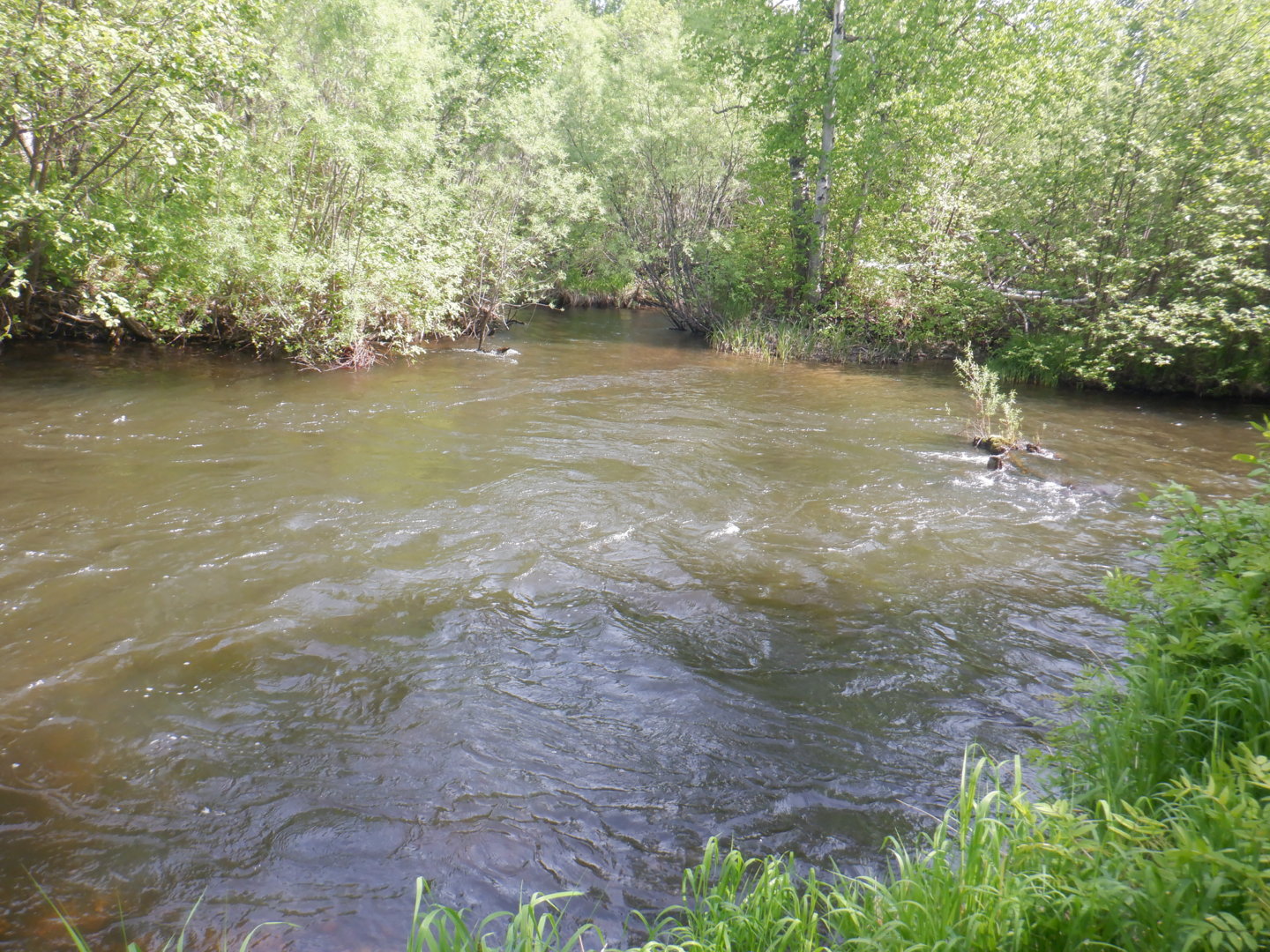 DSCF8187.JPG