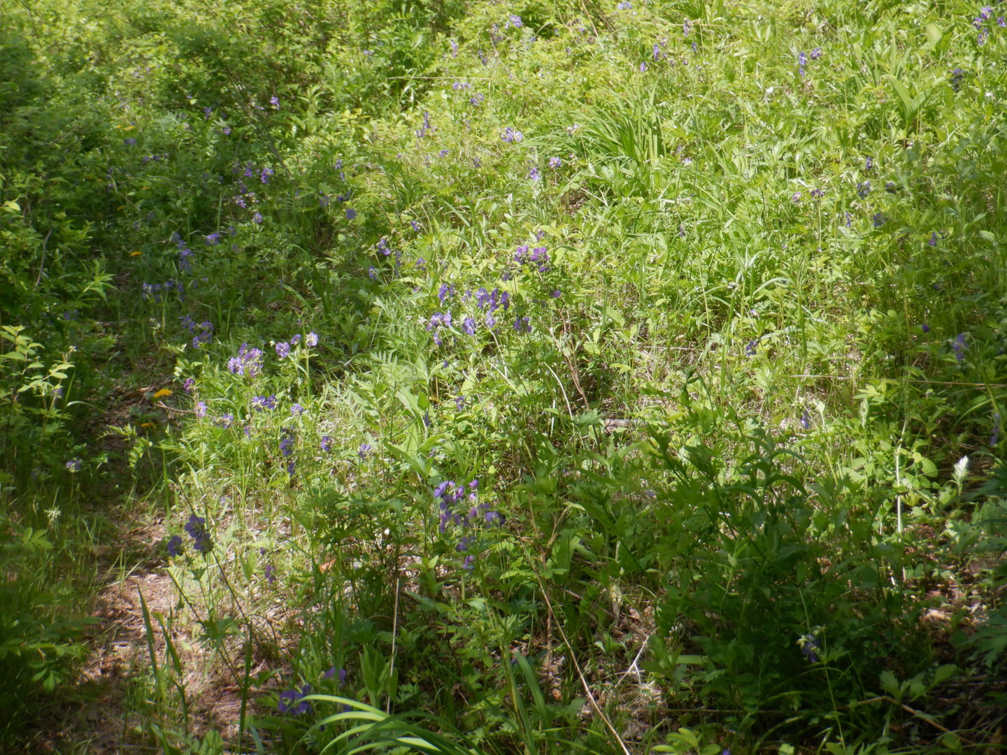 DSCF8190.JPG
