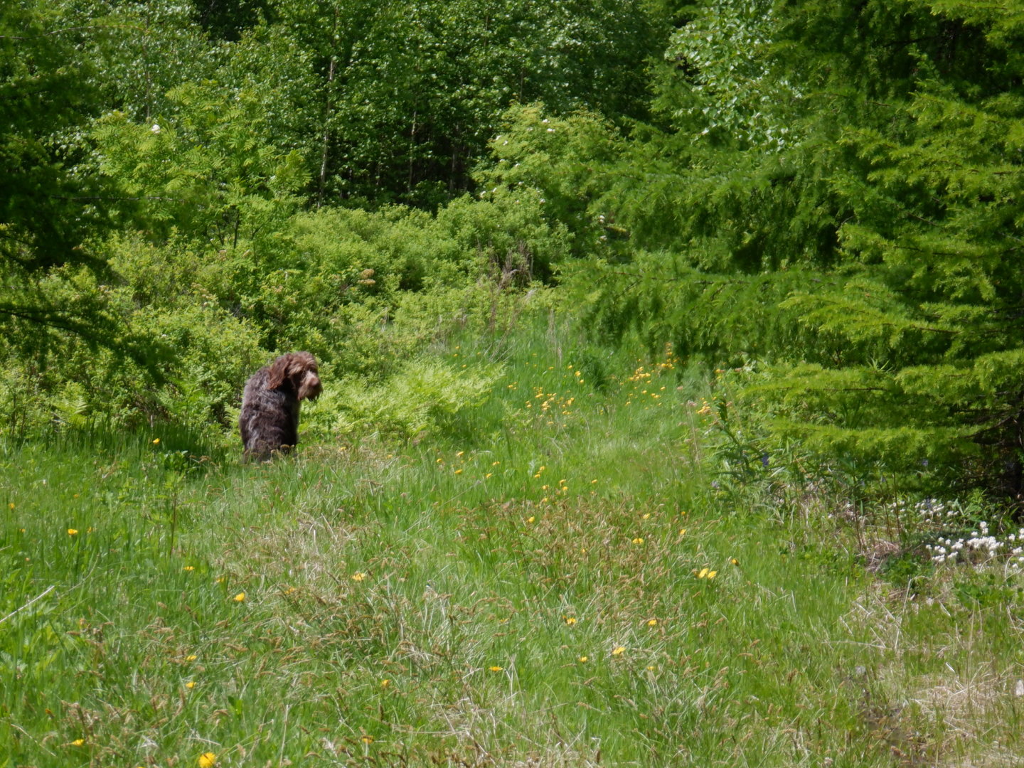 DSCF8193.JPG
