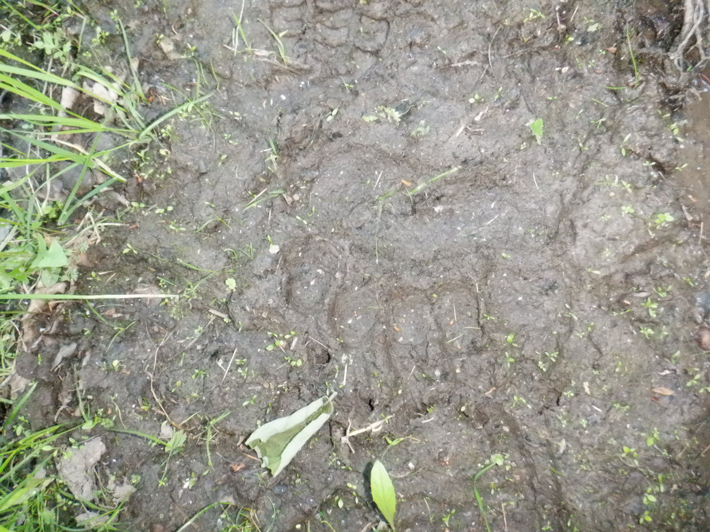 DSCF8209.JPG