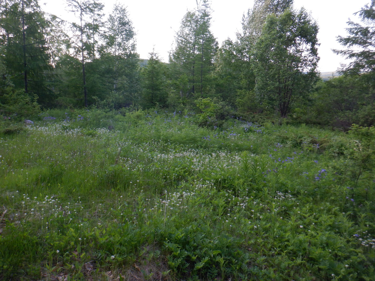DSCF8210.JPG