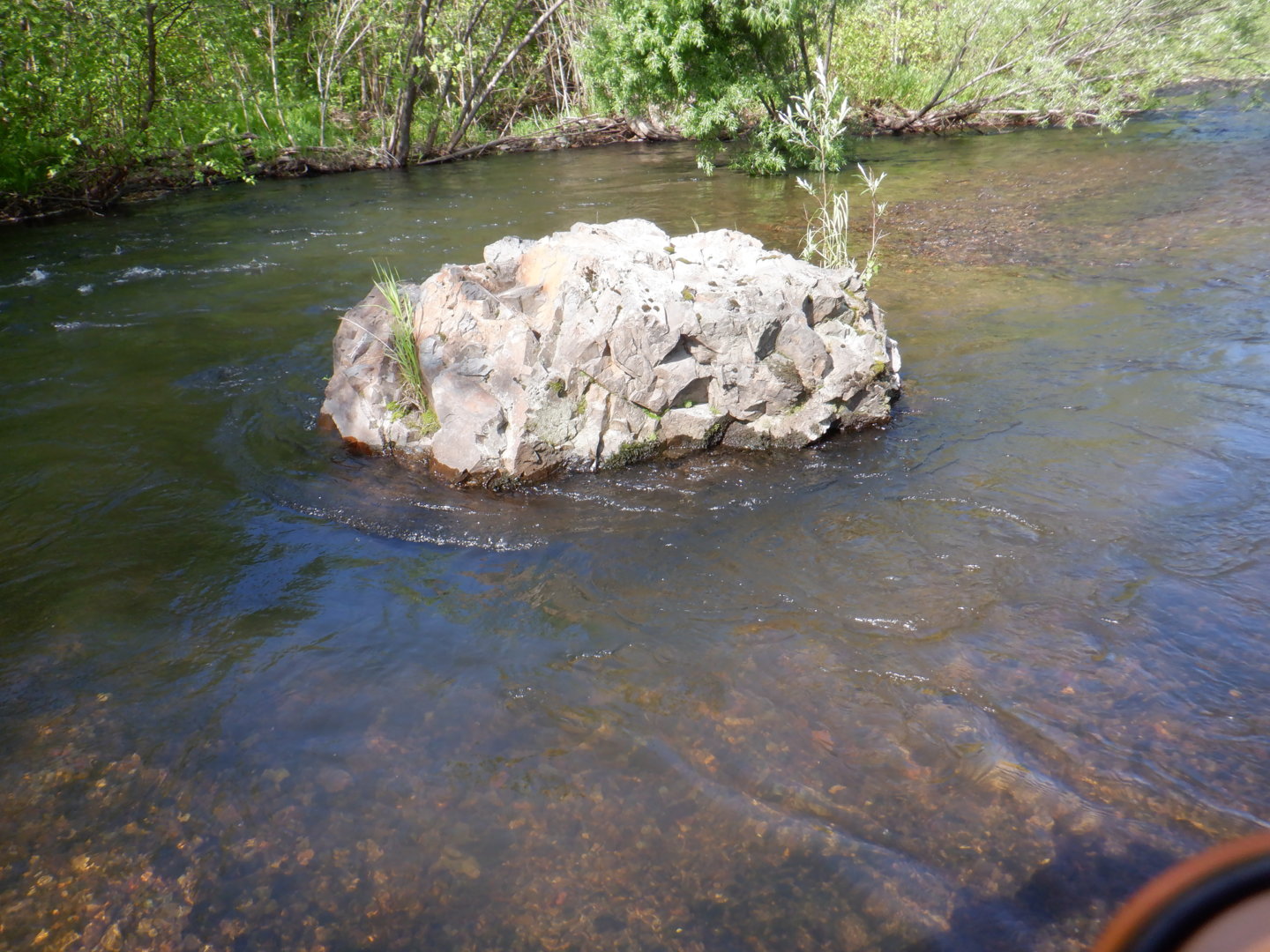 DSCF8214.JPG