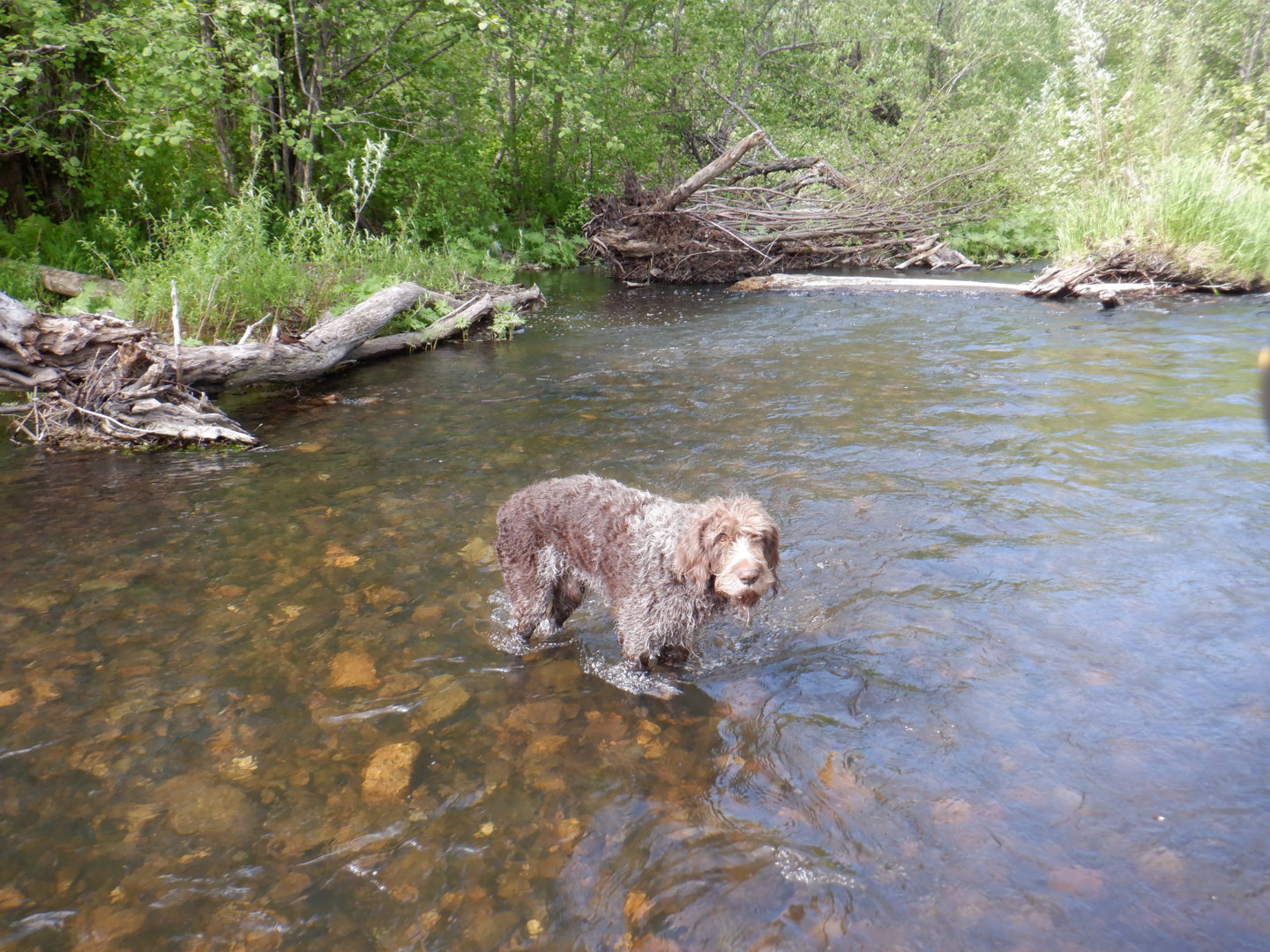 DSCF8215.JPG