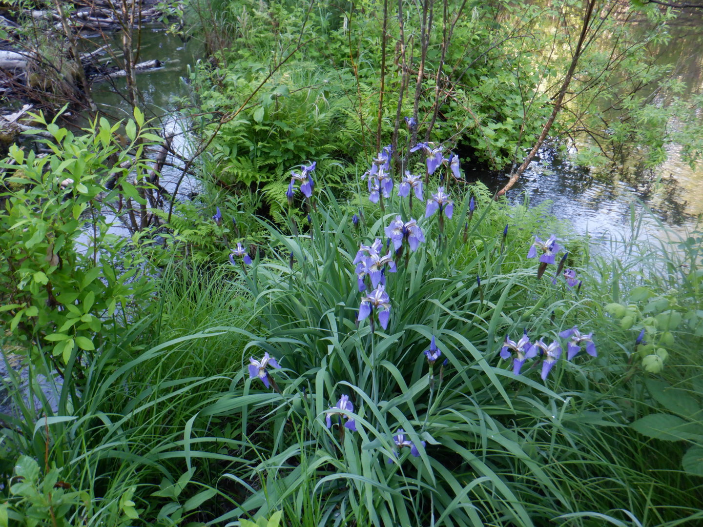DSCF8252.JPG