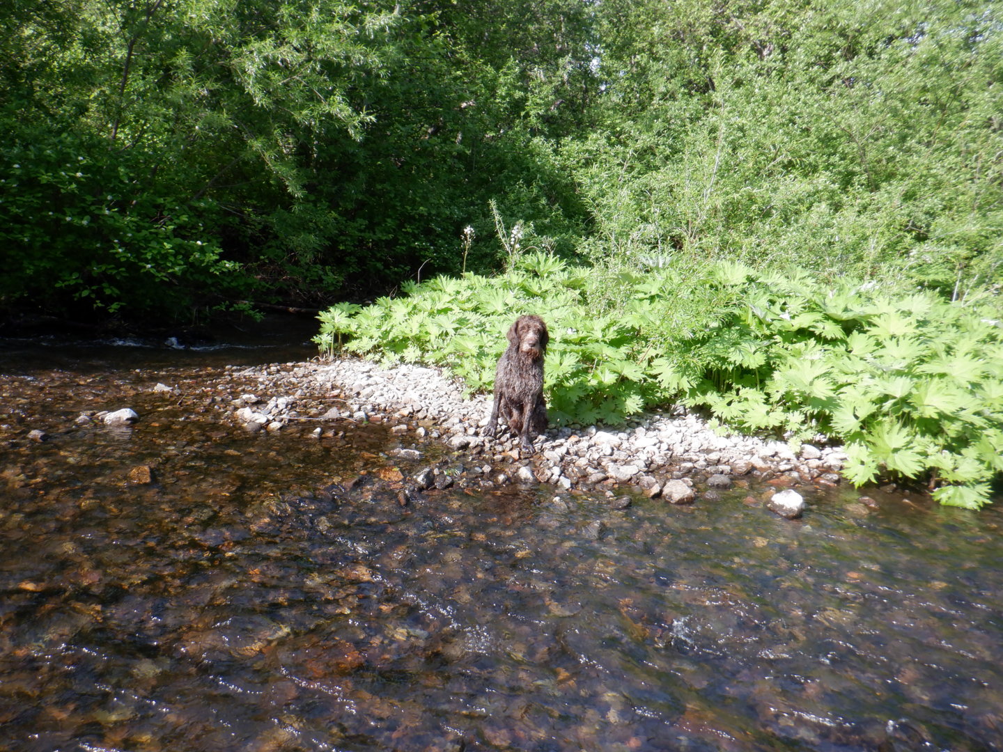 DSCF8257.JPG