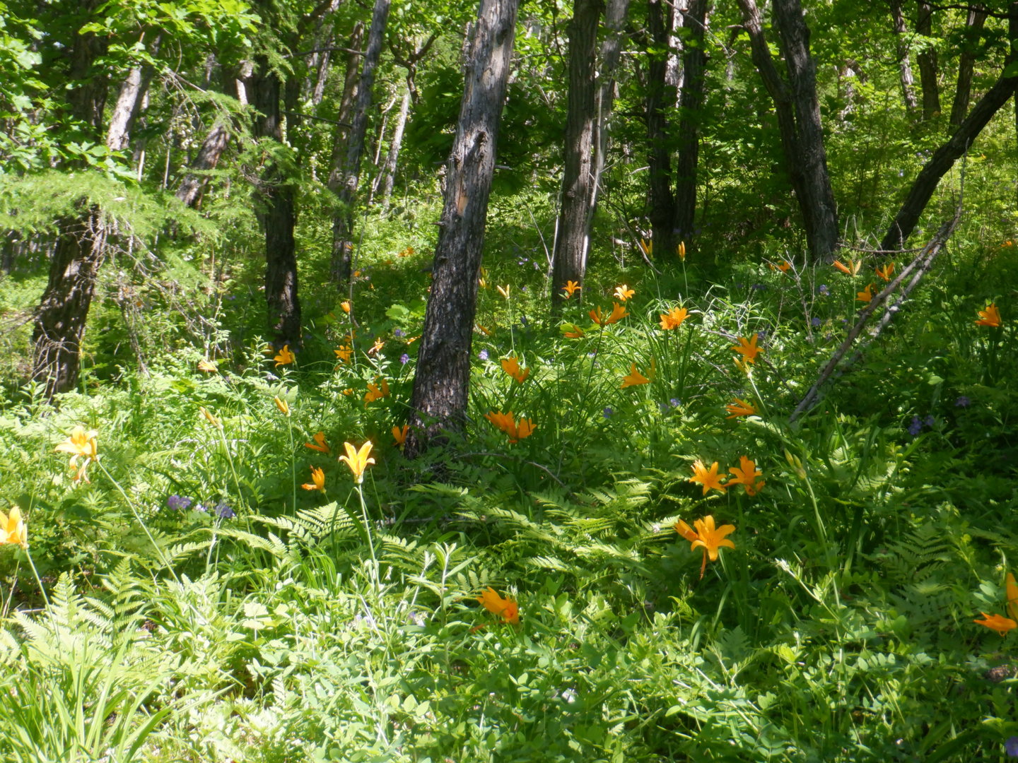 DSCF8265.JPG