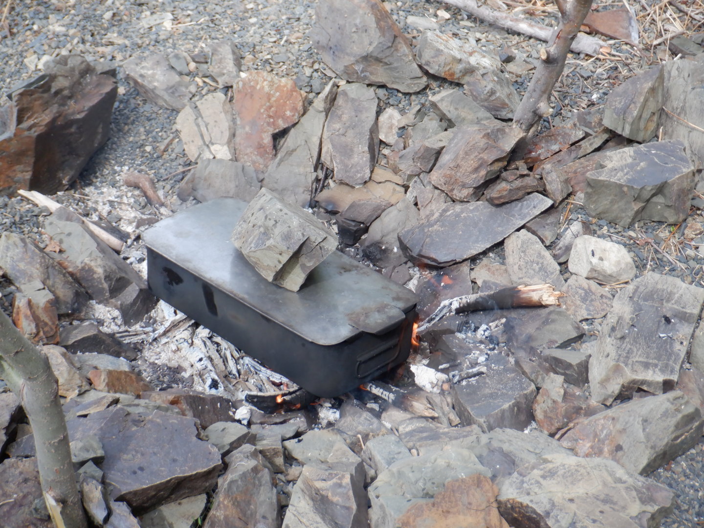DSCF8286.JPG