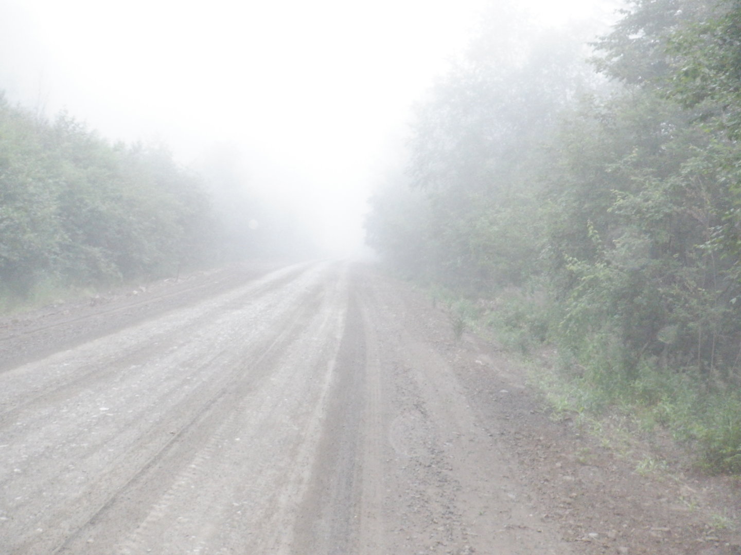 DSCF8320.JPG
