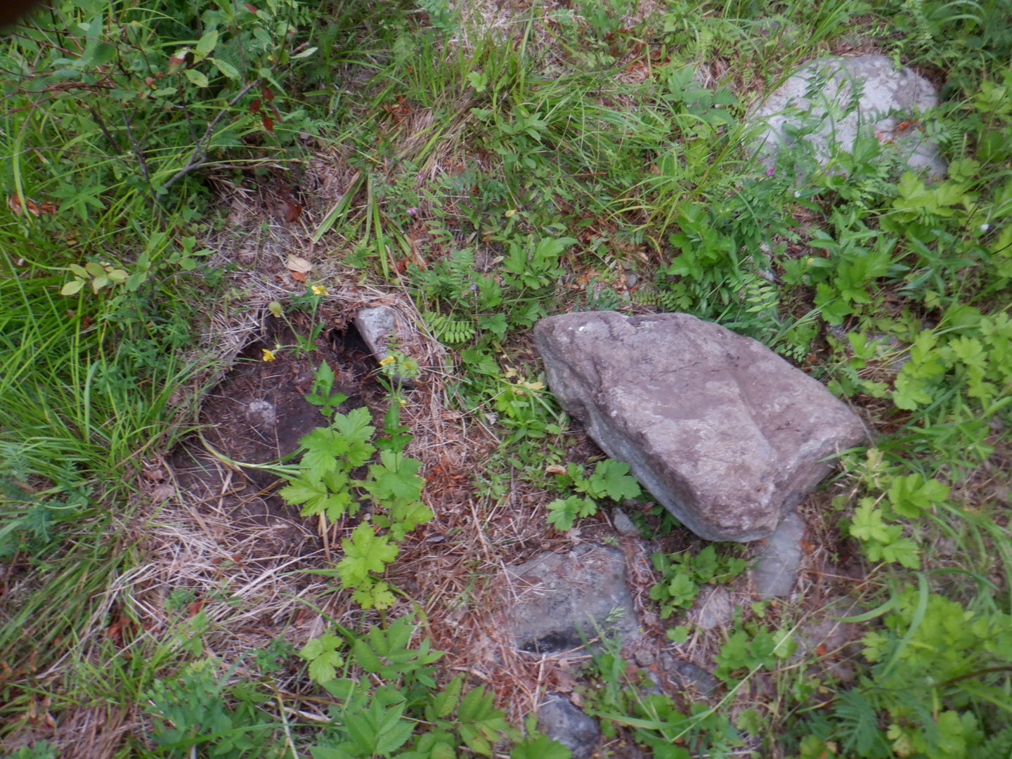 DSCF8322.JPG