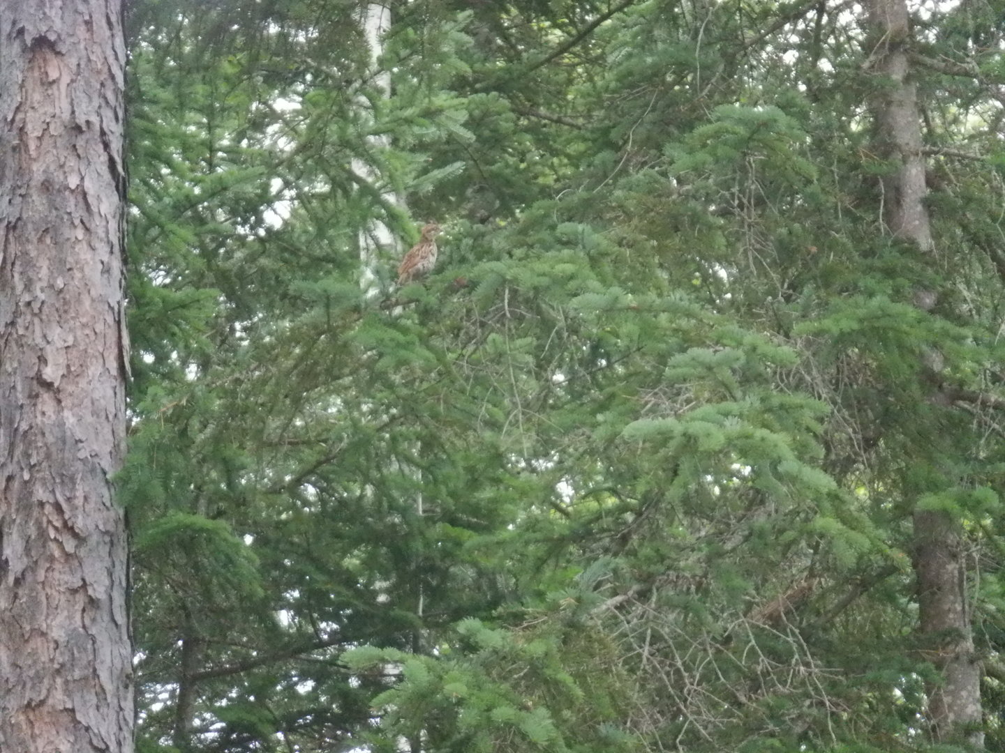 DSCF8325.JPG