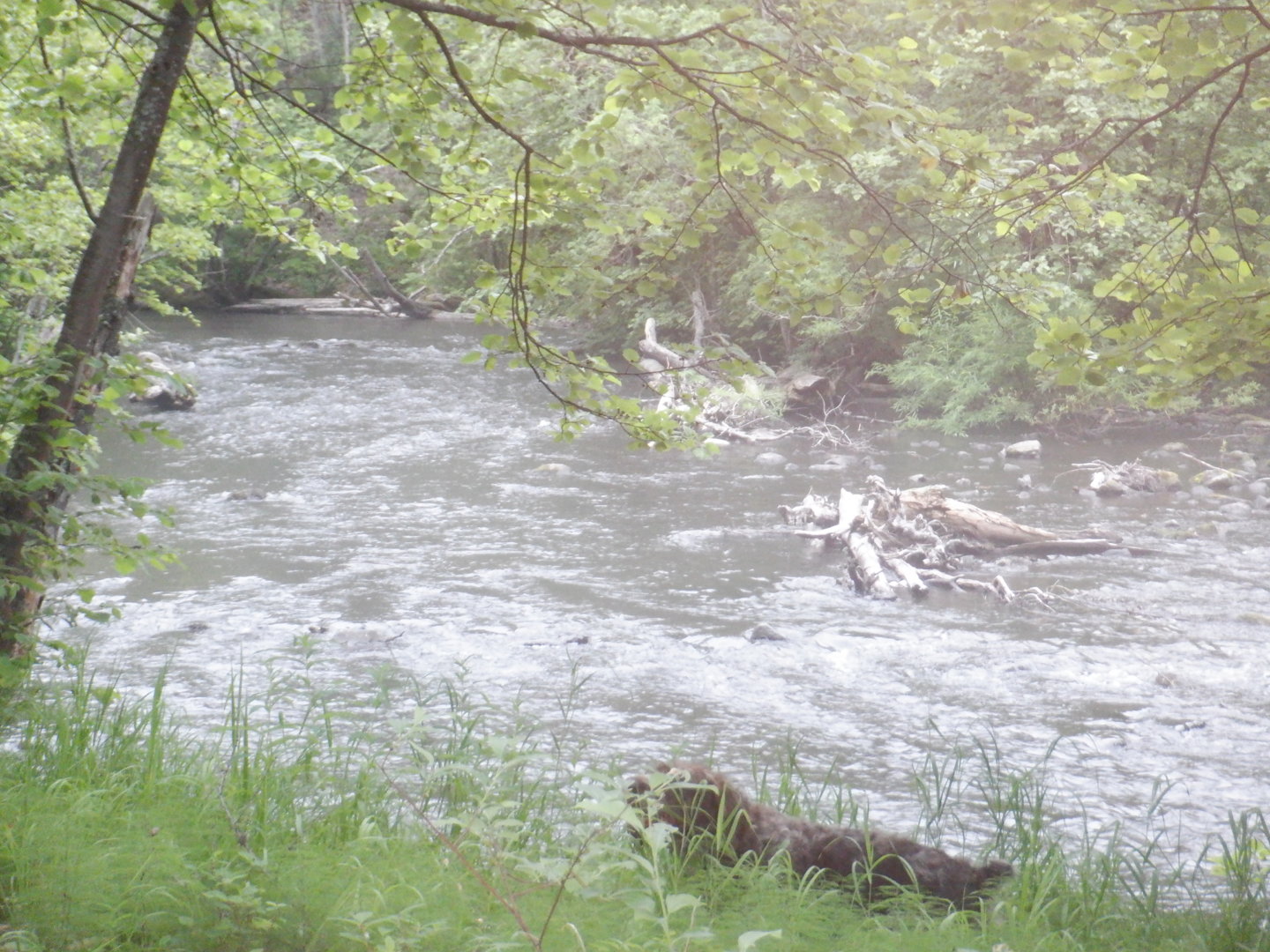 DSCF8326.JPG