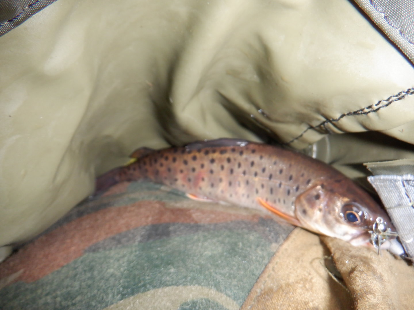 DSCF8330.JPG