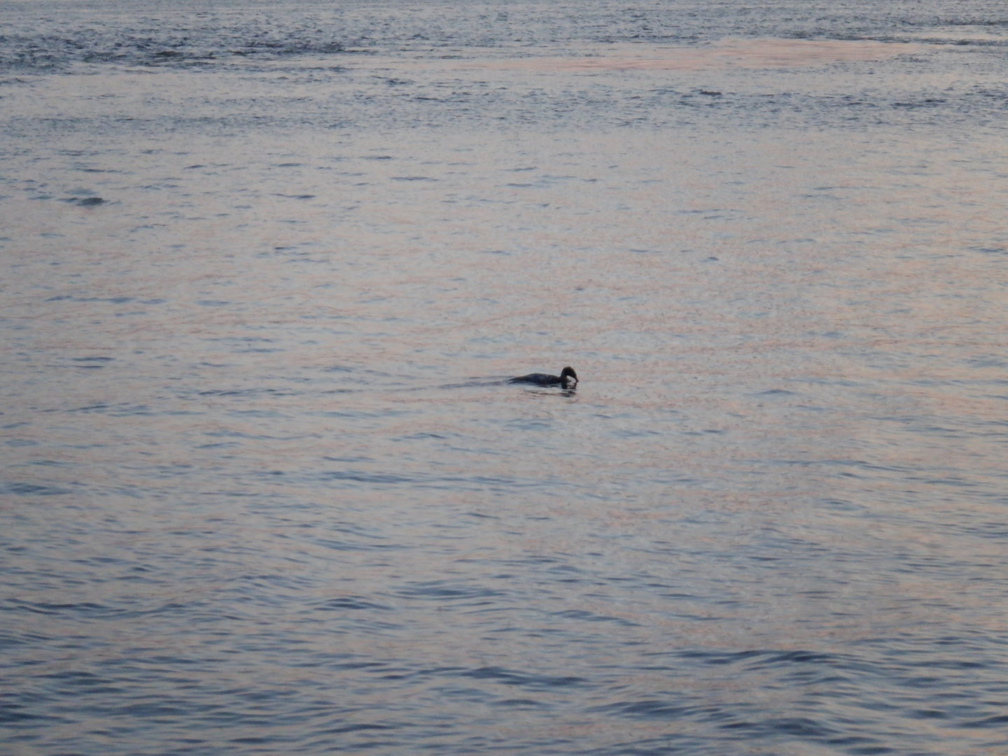 DSCF8342.JPG